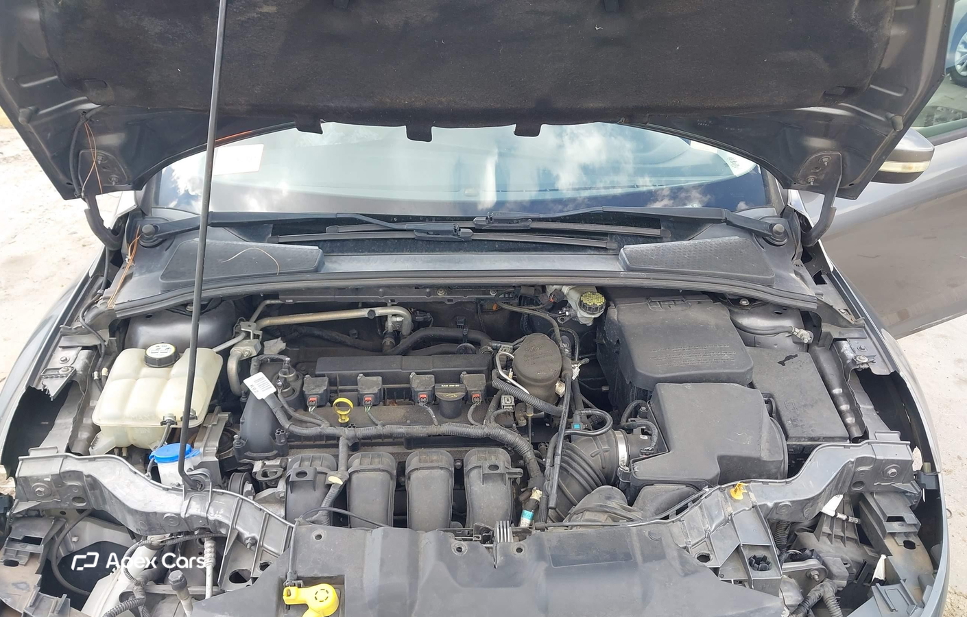 Ford Focus 2013
