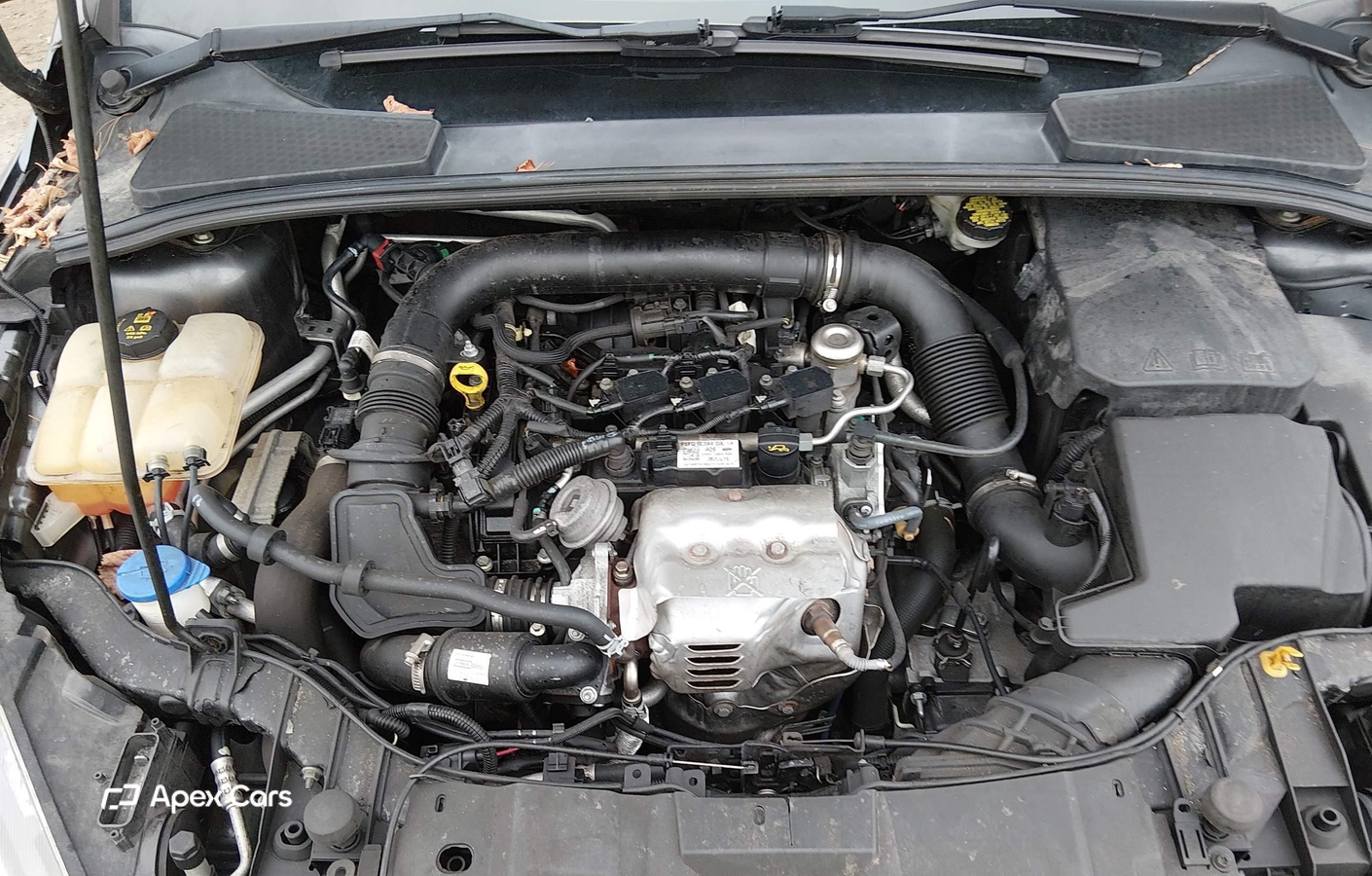 Ford Focus 2016