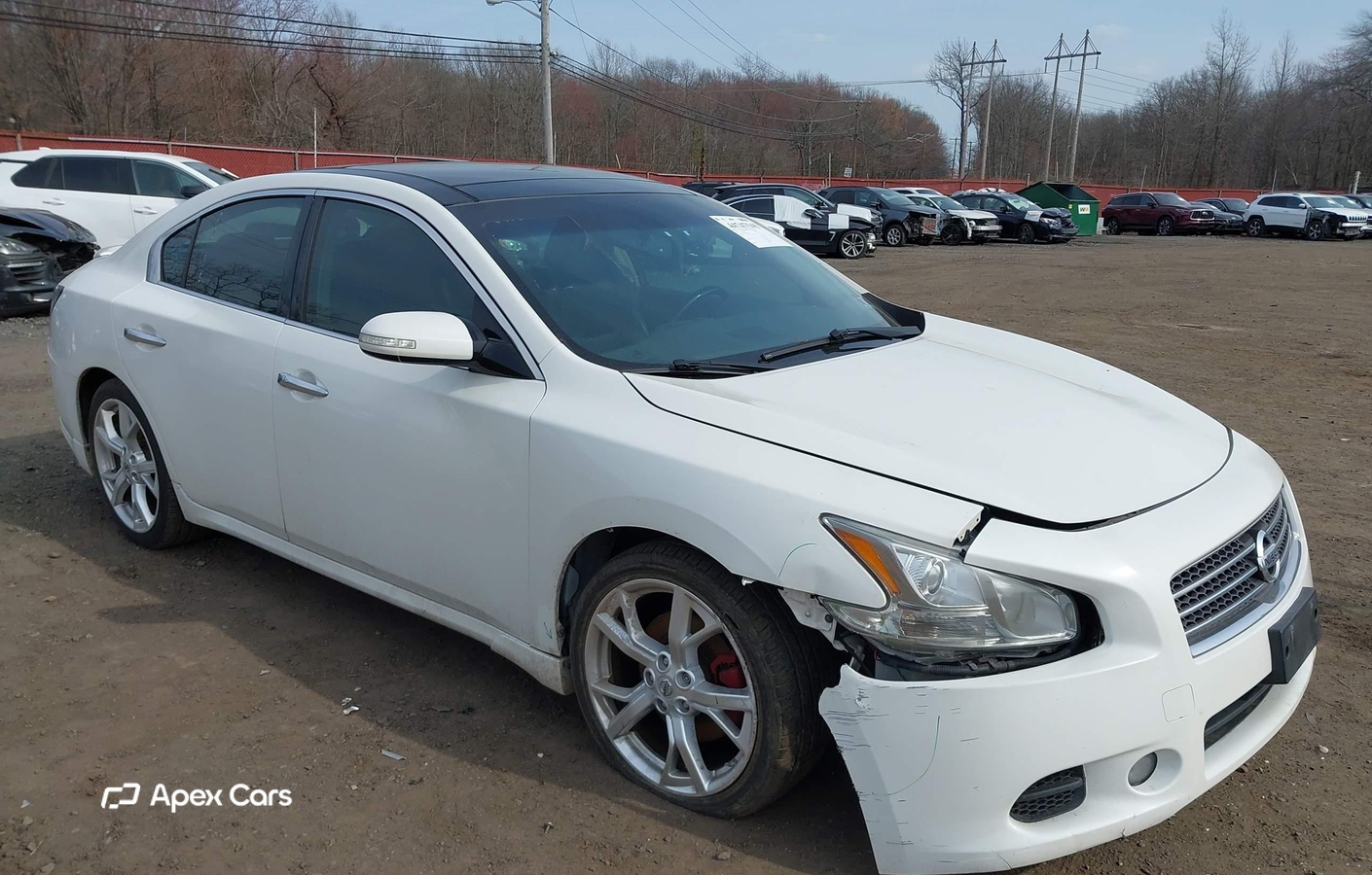Nissan Maxima 2011