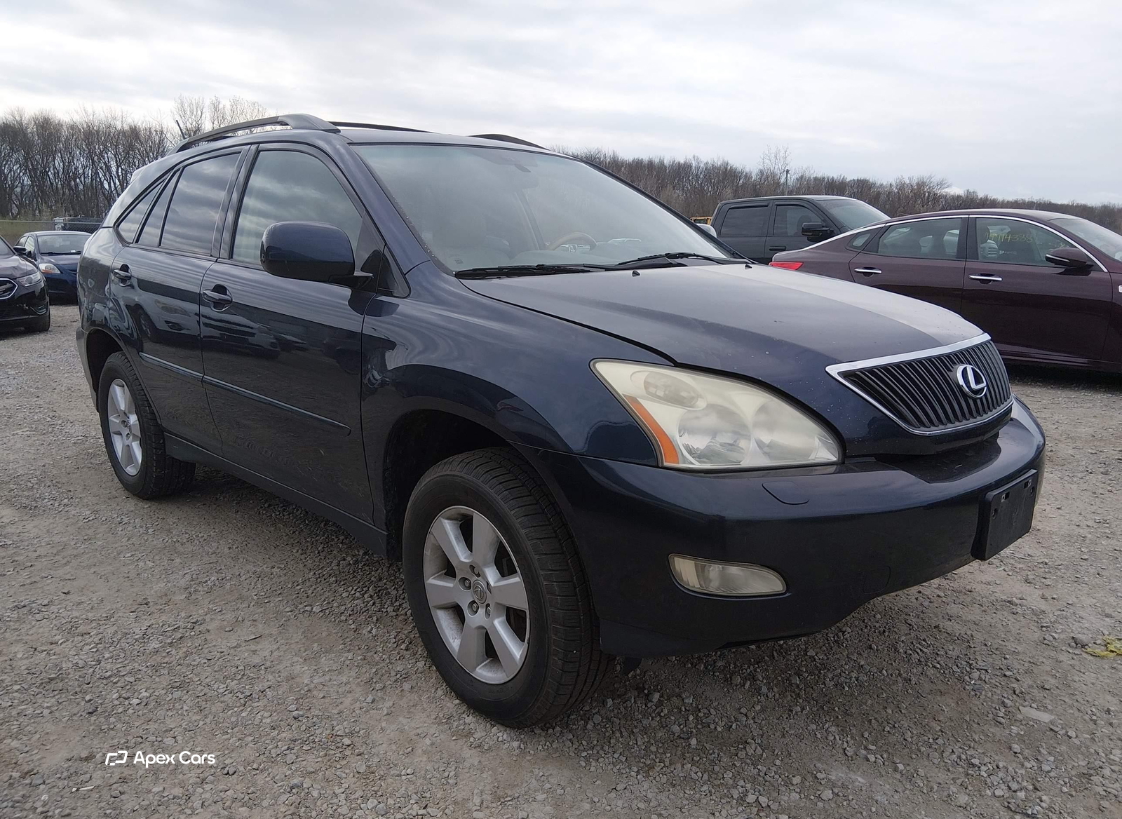 Lexus RX 2006