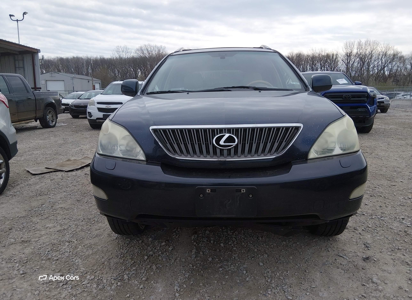 Lexus RX 2006