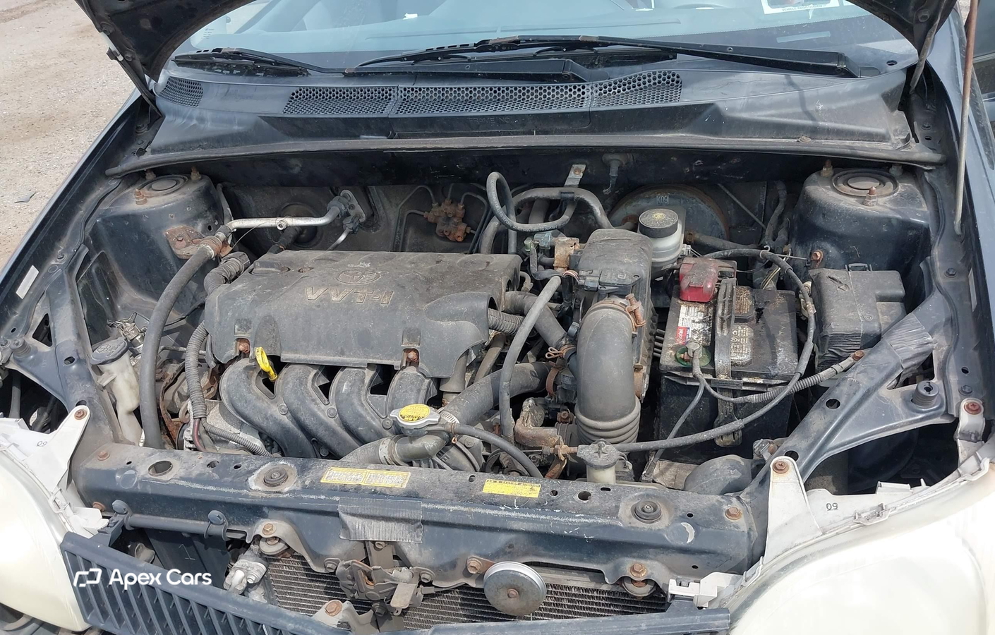 Toyota Echo 2000