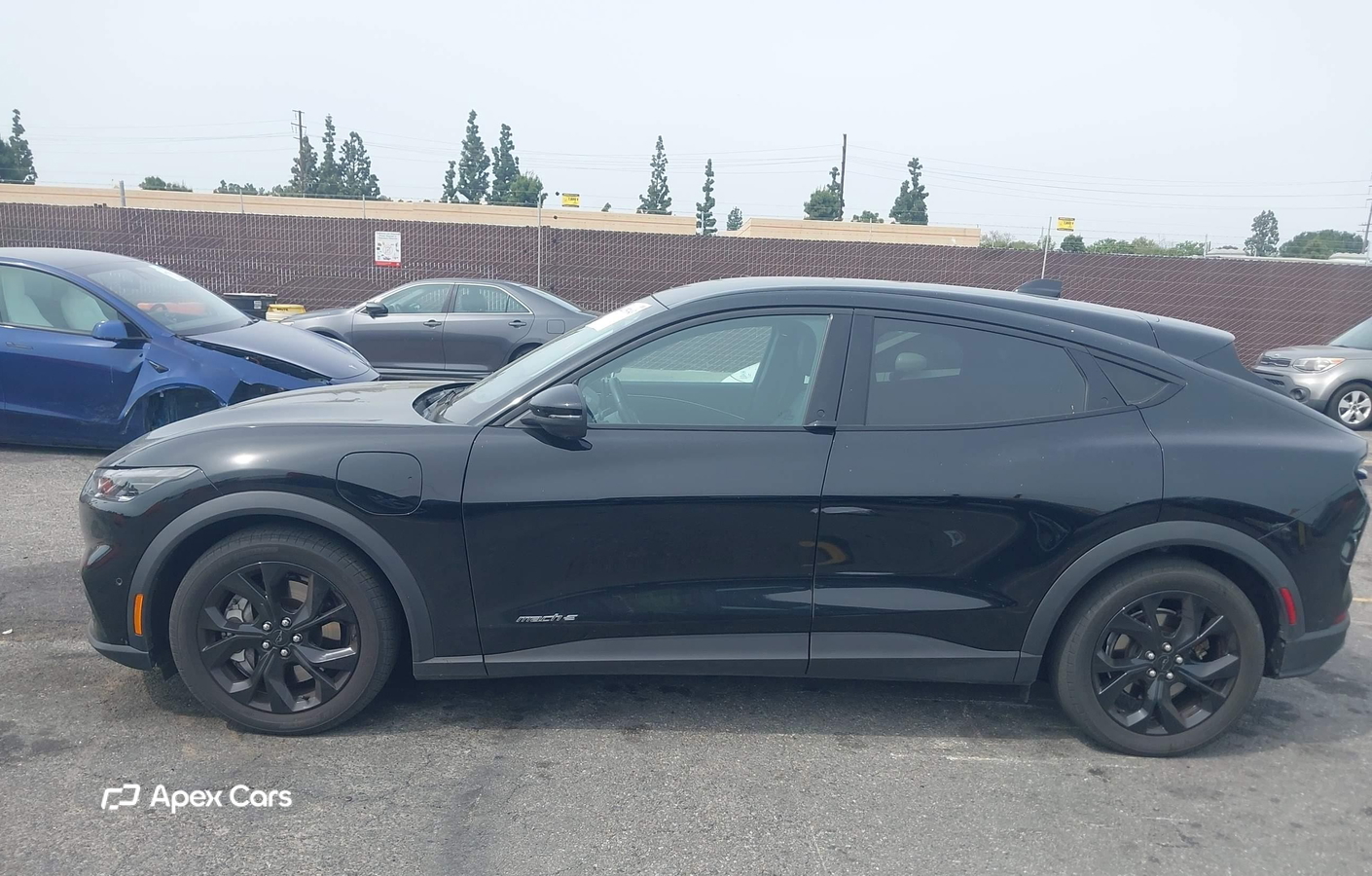 Ford Mustang Mach-E 2024