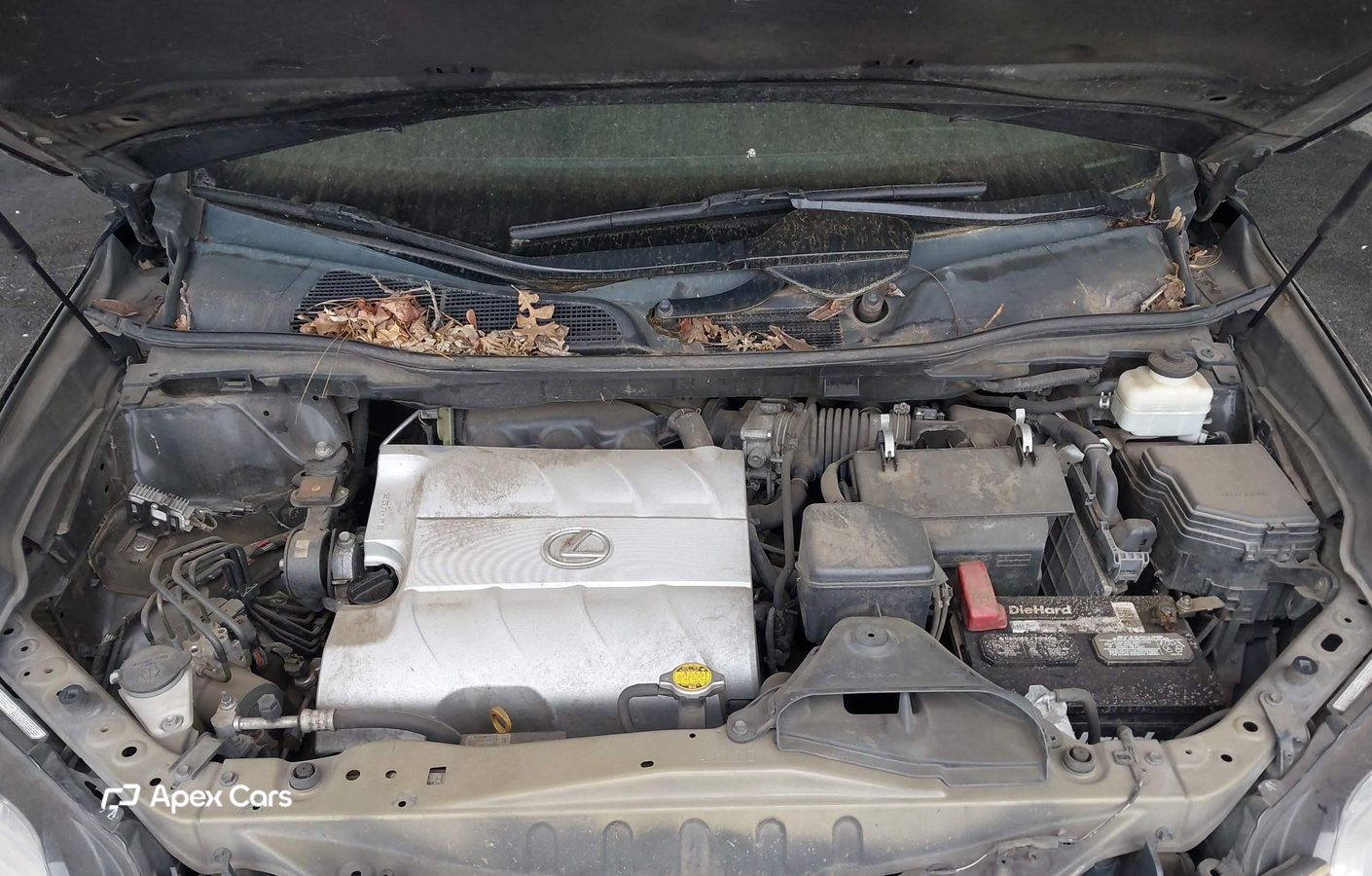 Lexus RX 2010
