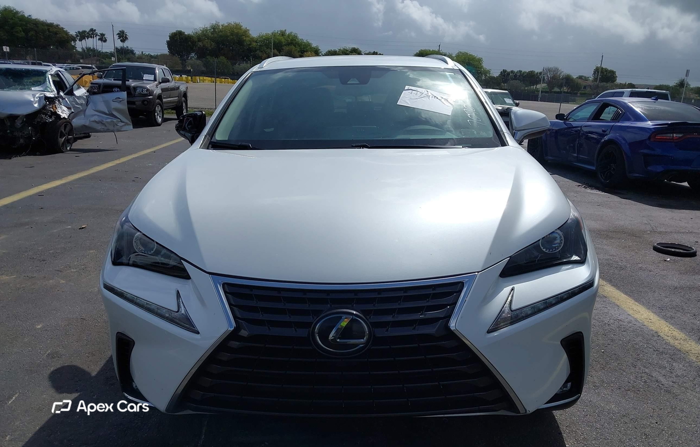 Lexus NX 2020