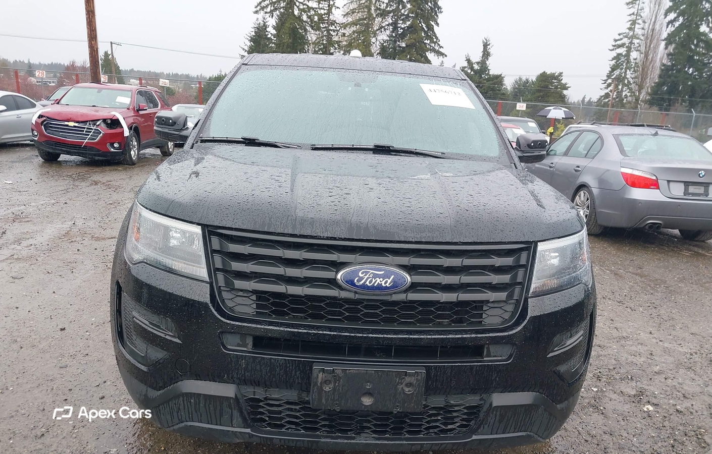 Ford 2017