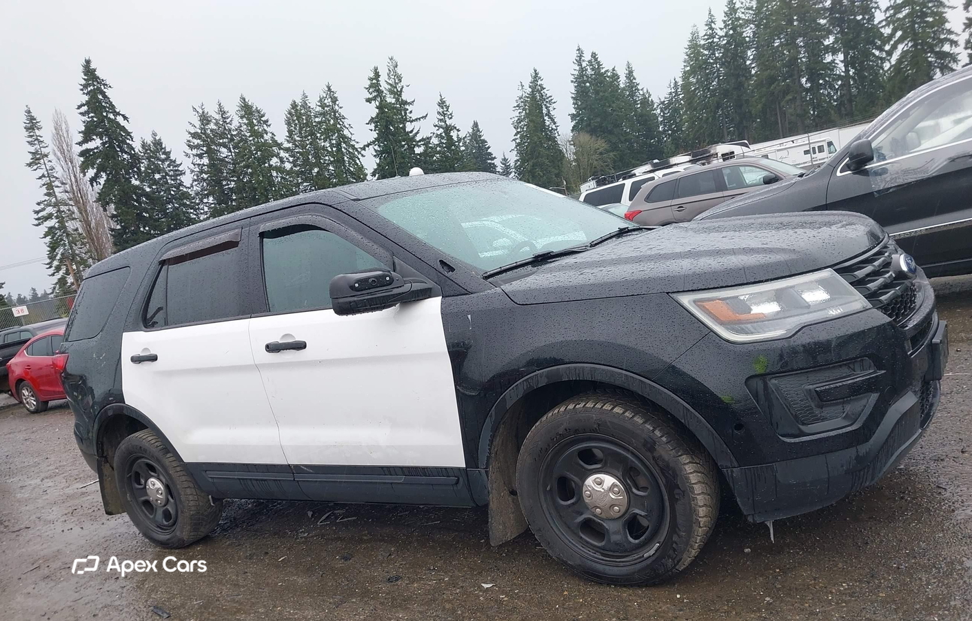 Ford 2017