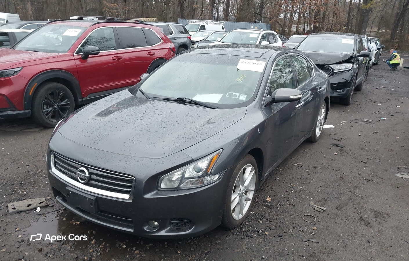 Nissan Maxima 2011