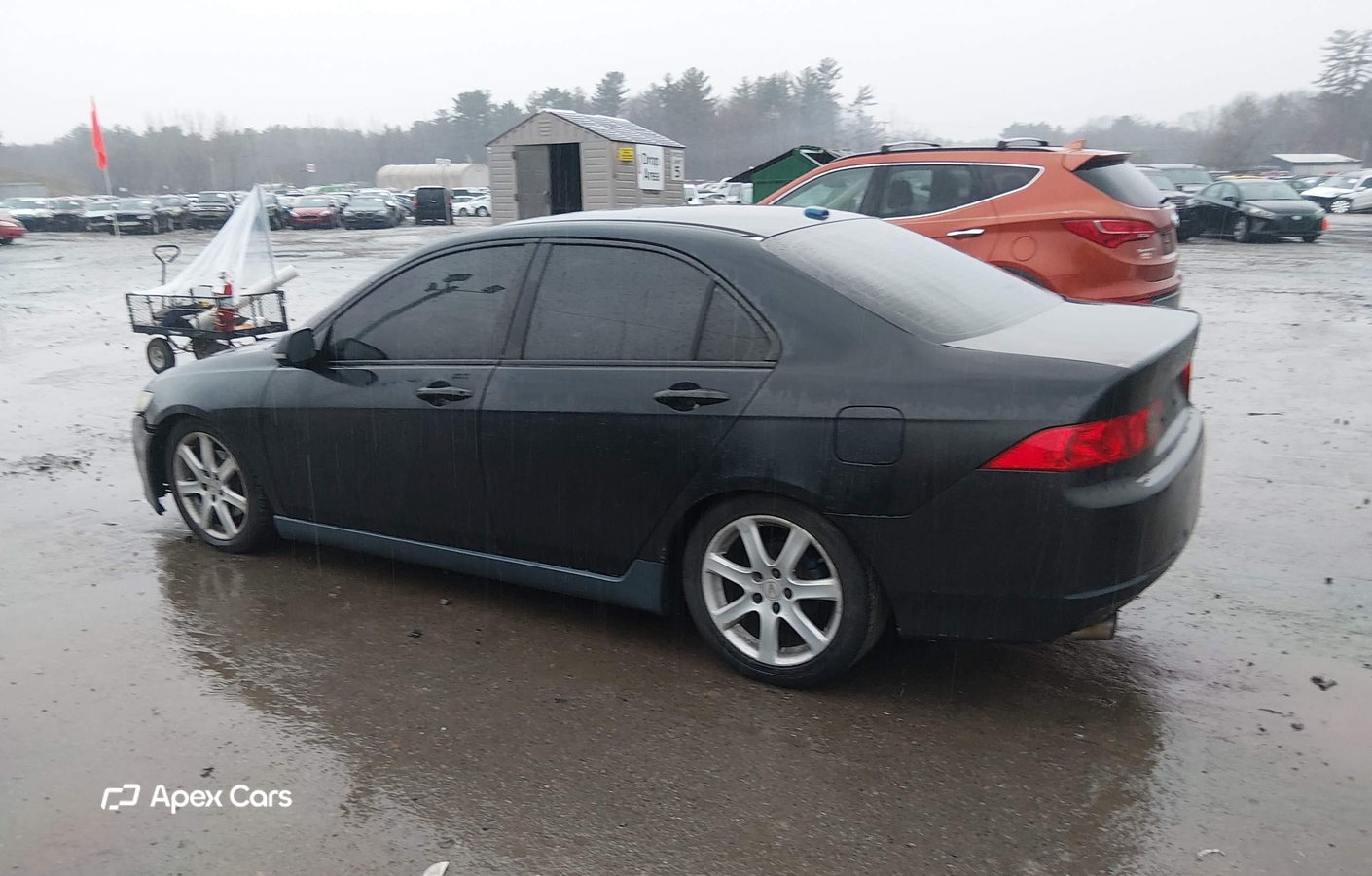 Acura TSX 2005