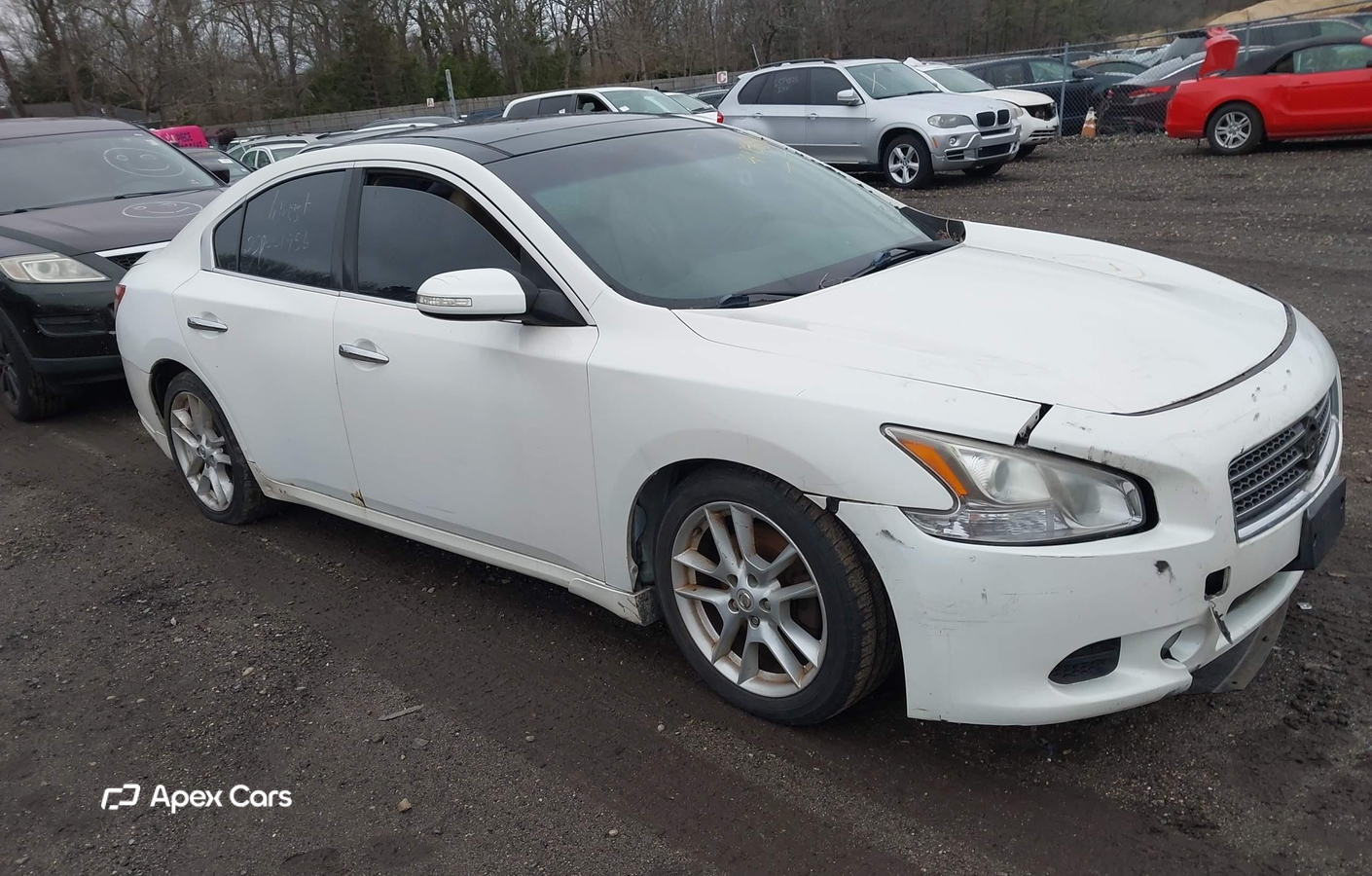 Nissan Maxima 2010