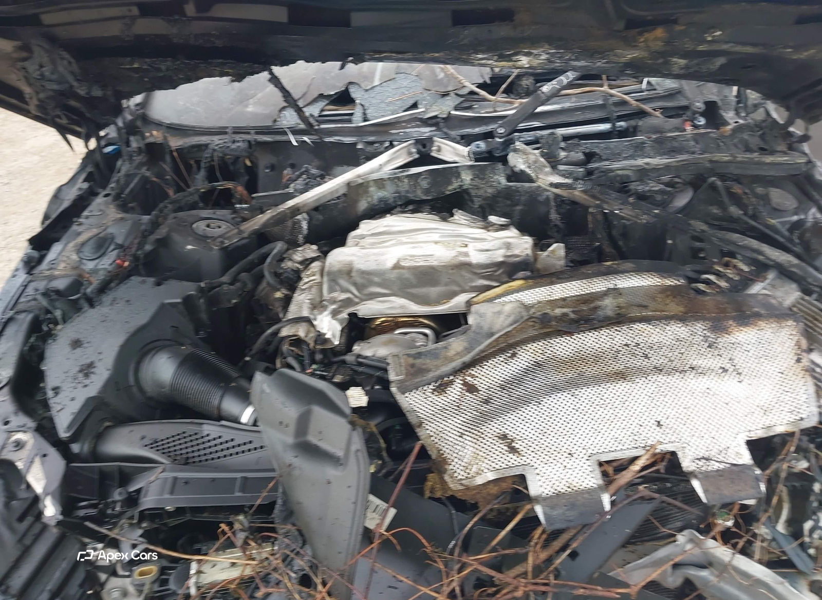 Audi S4 2023