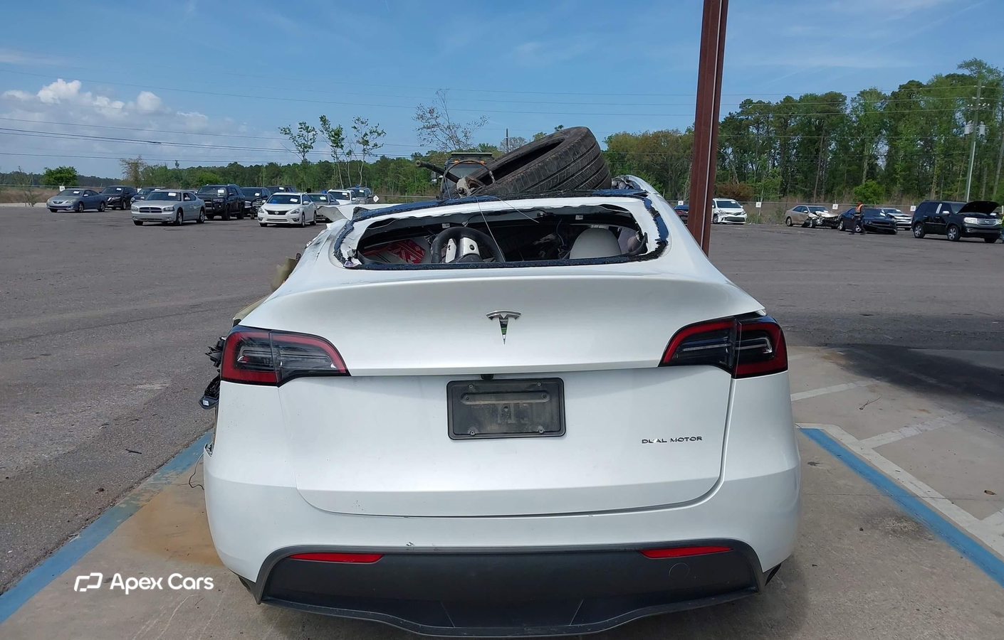 Tesla Model Y 2024