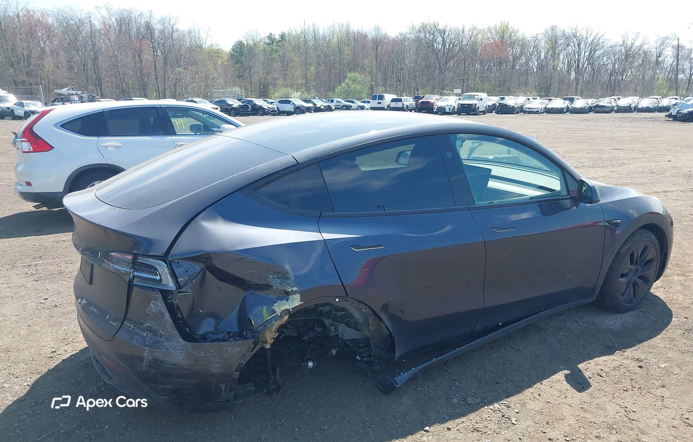 Tesla Model Y 2024