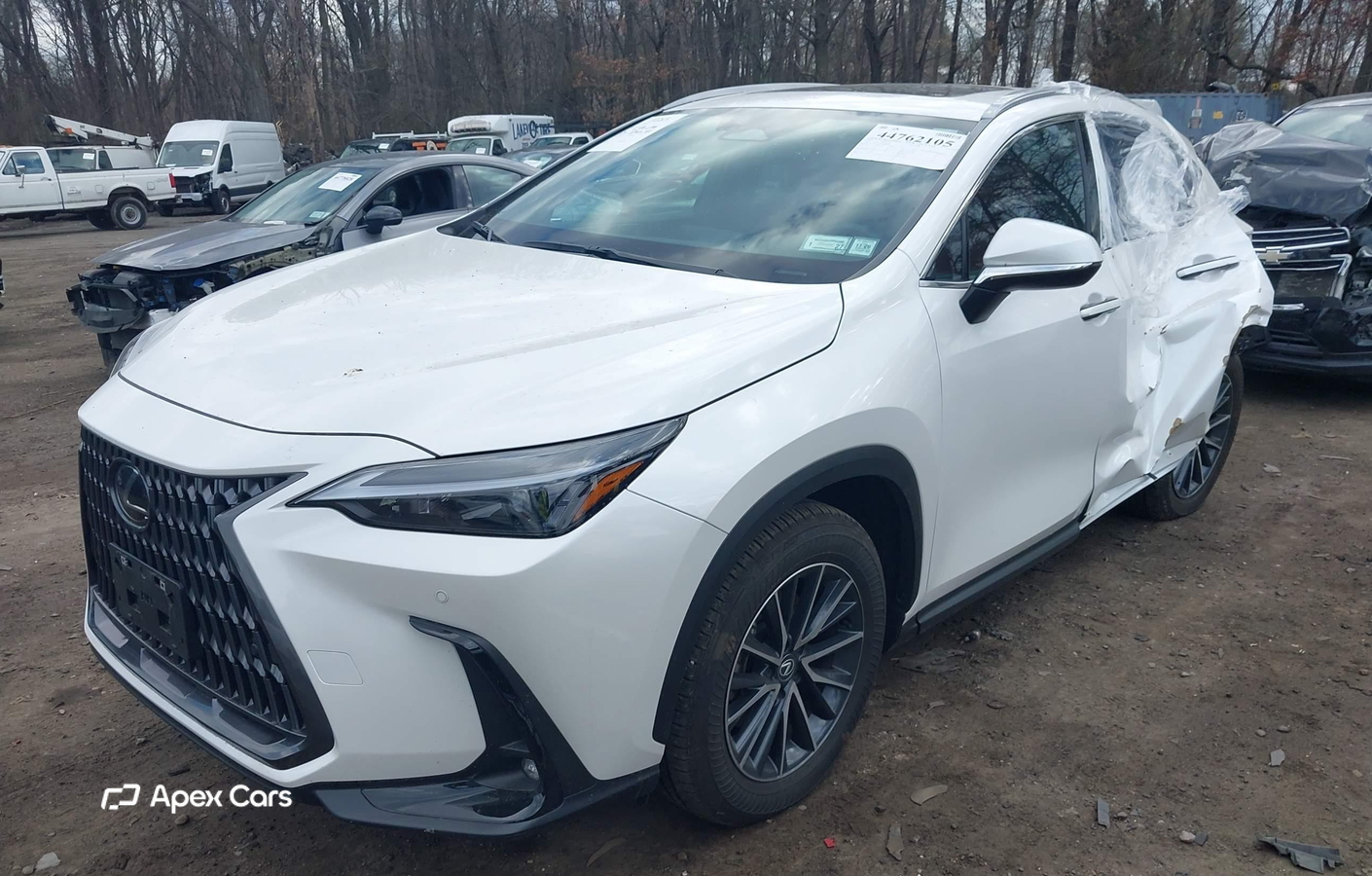 Lexus NX 2025