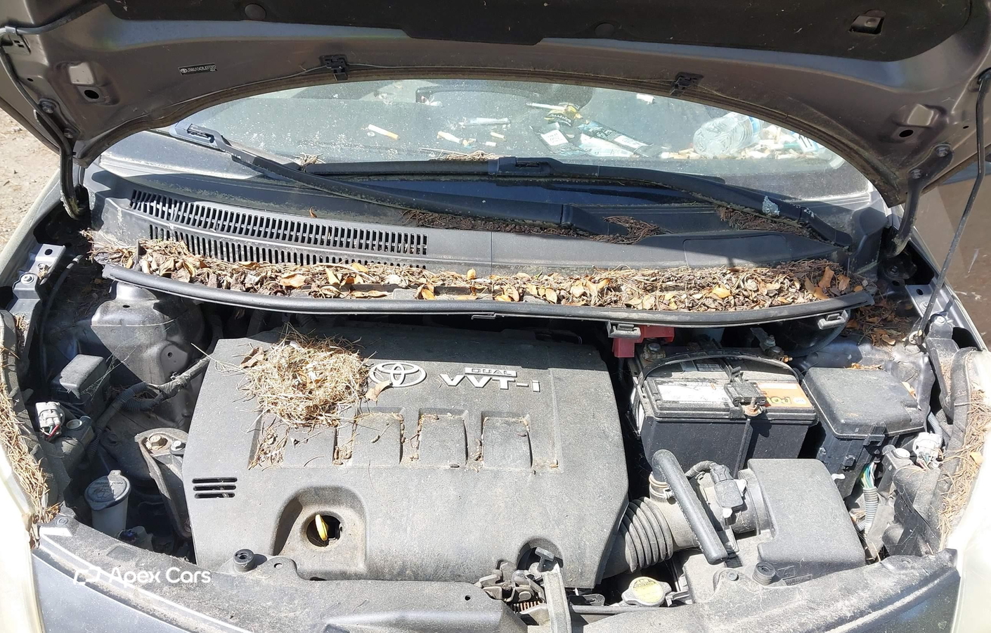 Scion xD 2008