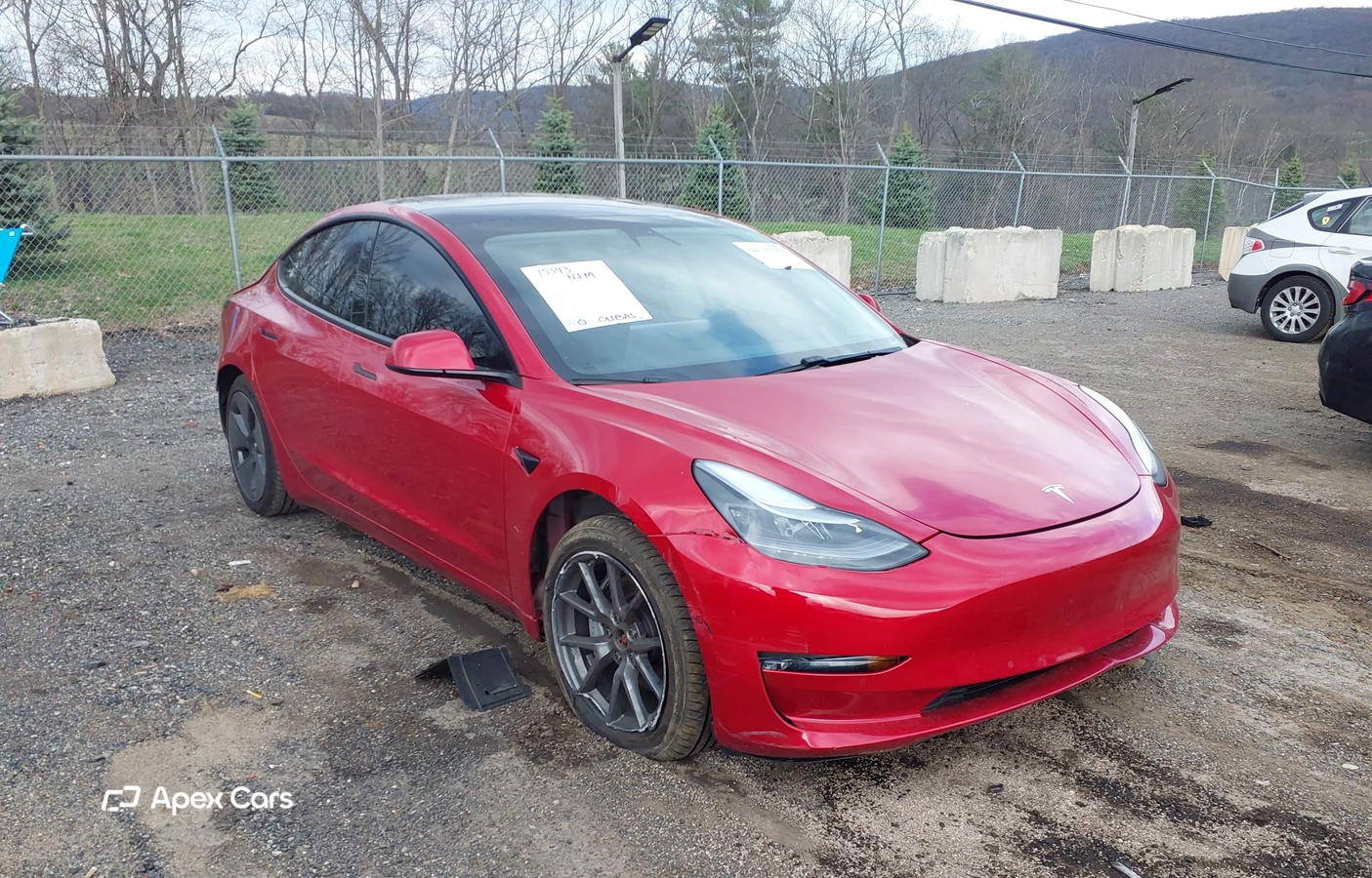 Tesla Model 3 2021