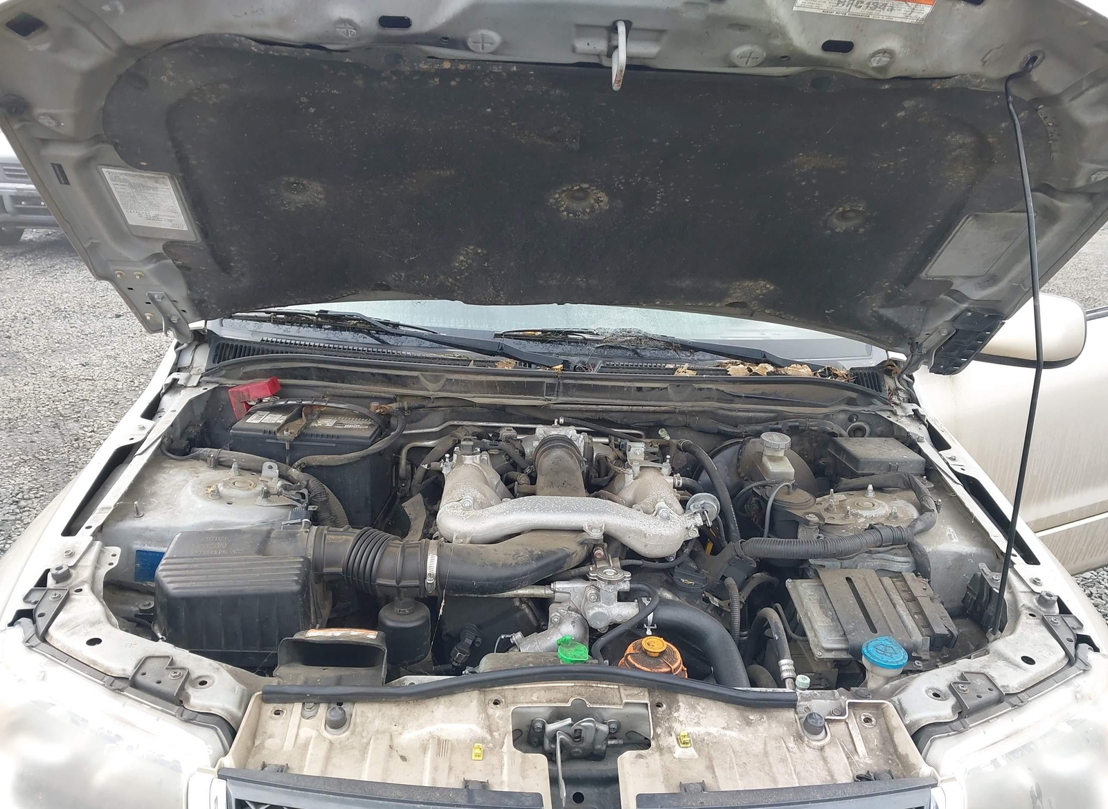 Suzuki Grand Vitara 2007