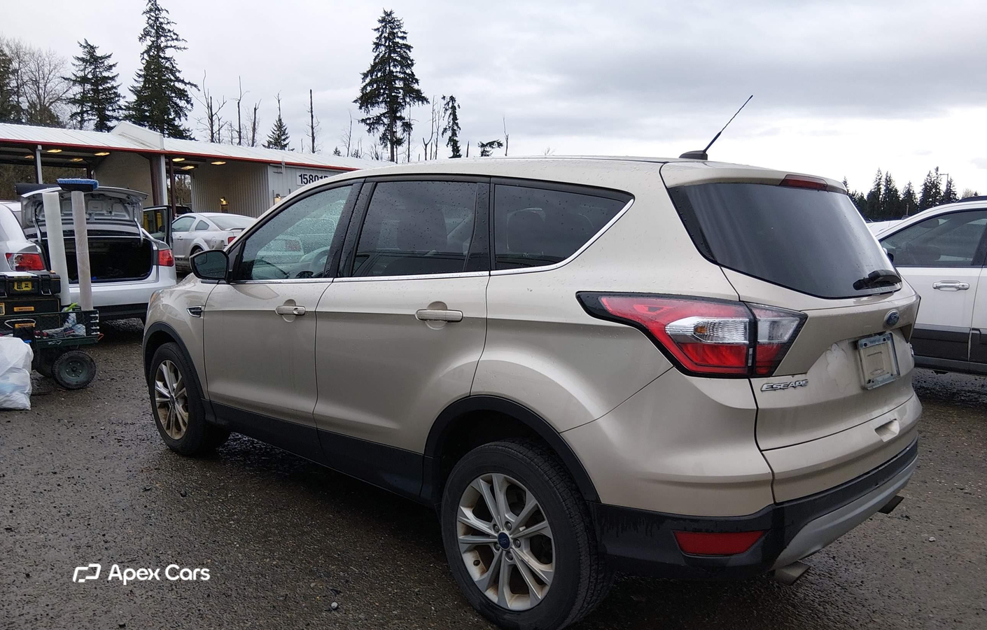 Ford Escape 2017
