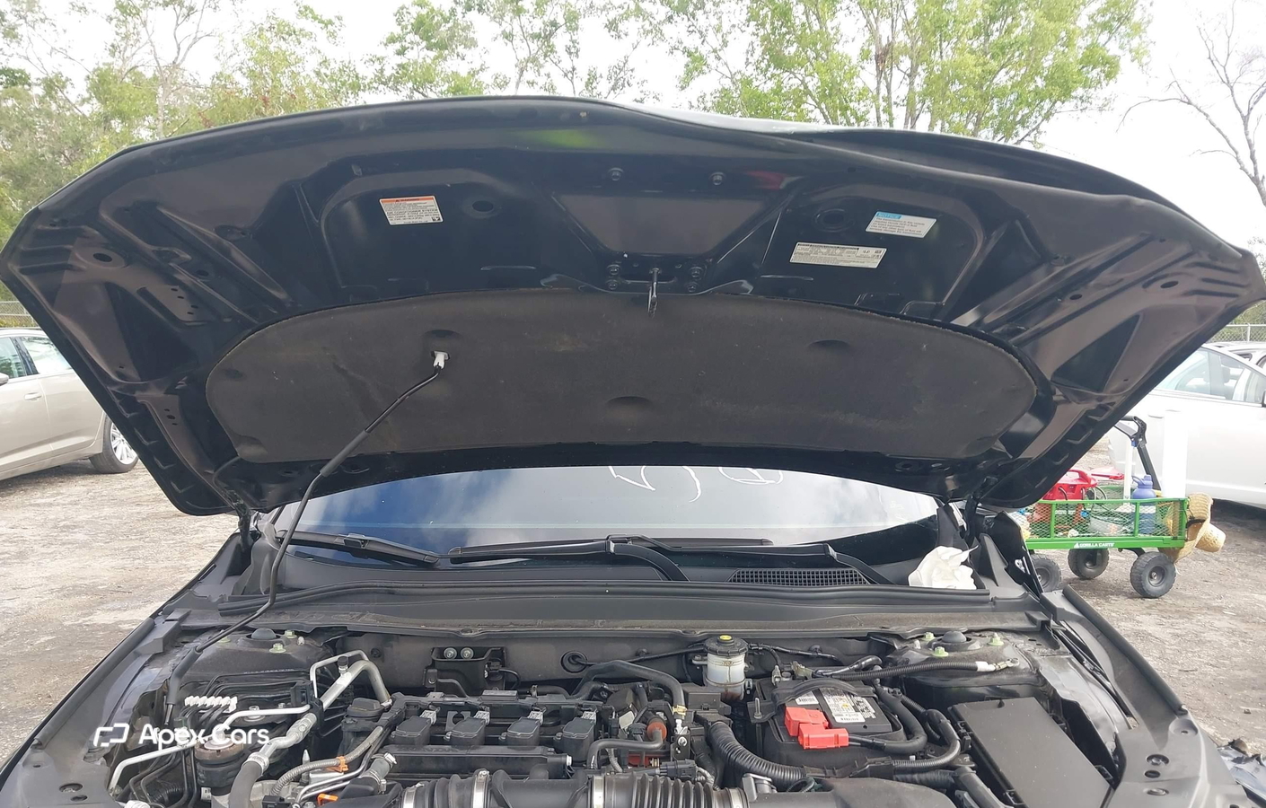 Honda Accord 2022