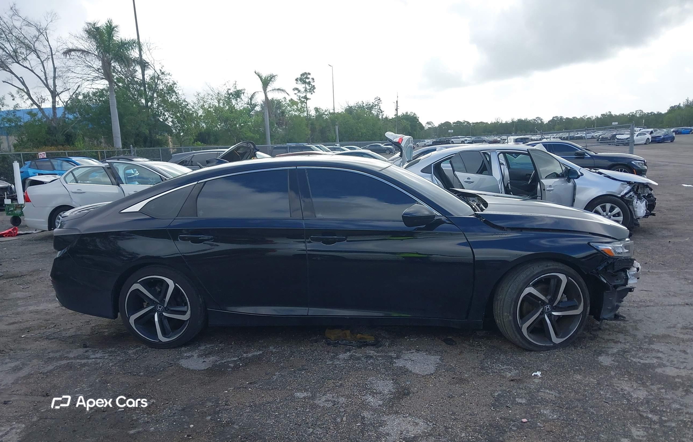 Honda Accord 2022