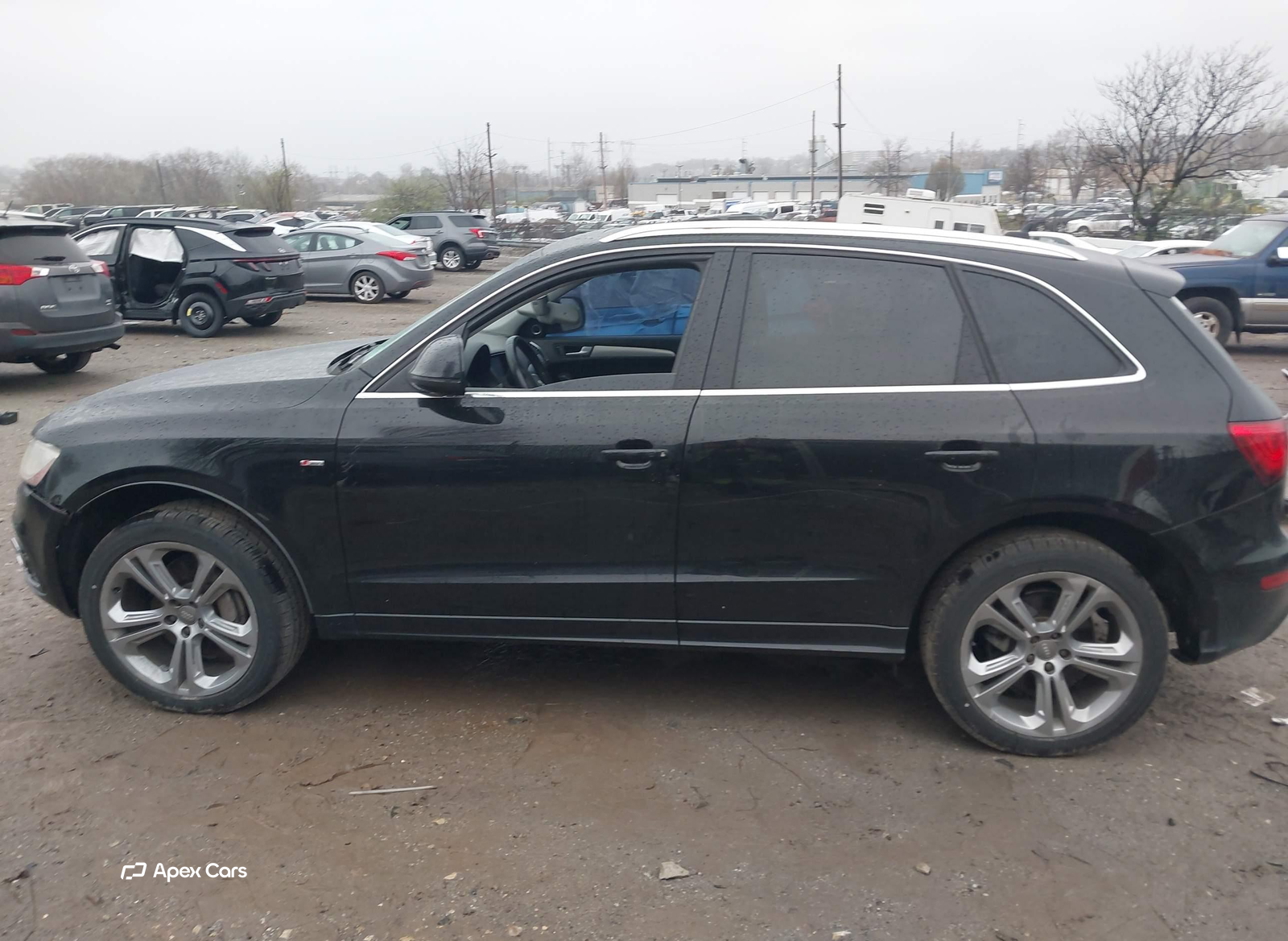 Audi Q5 2013