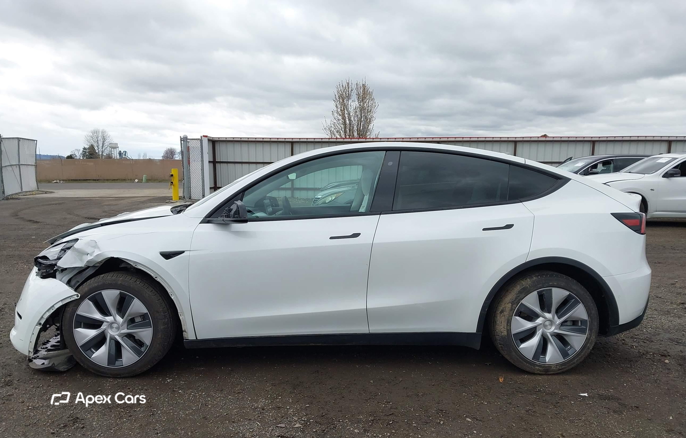 Tesla Model Y 2021