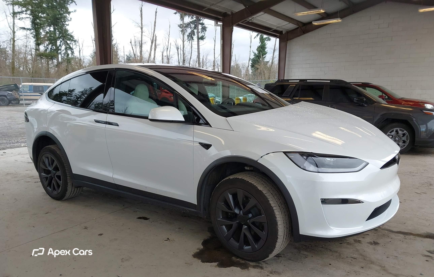 Tesla Model X 2025