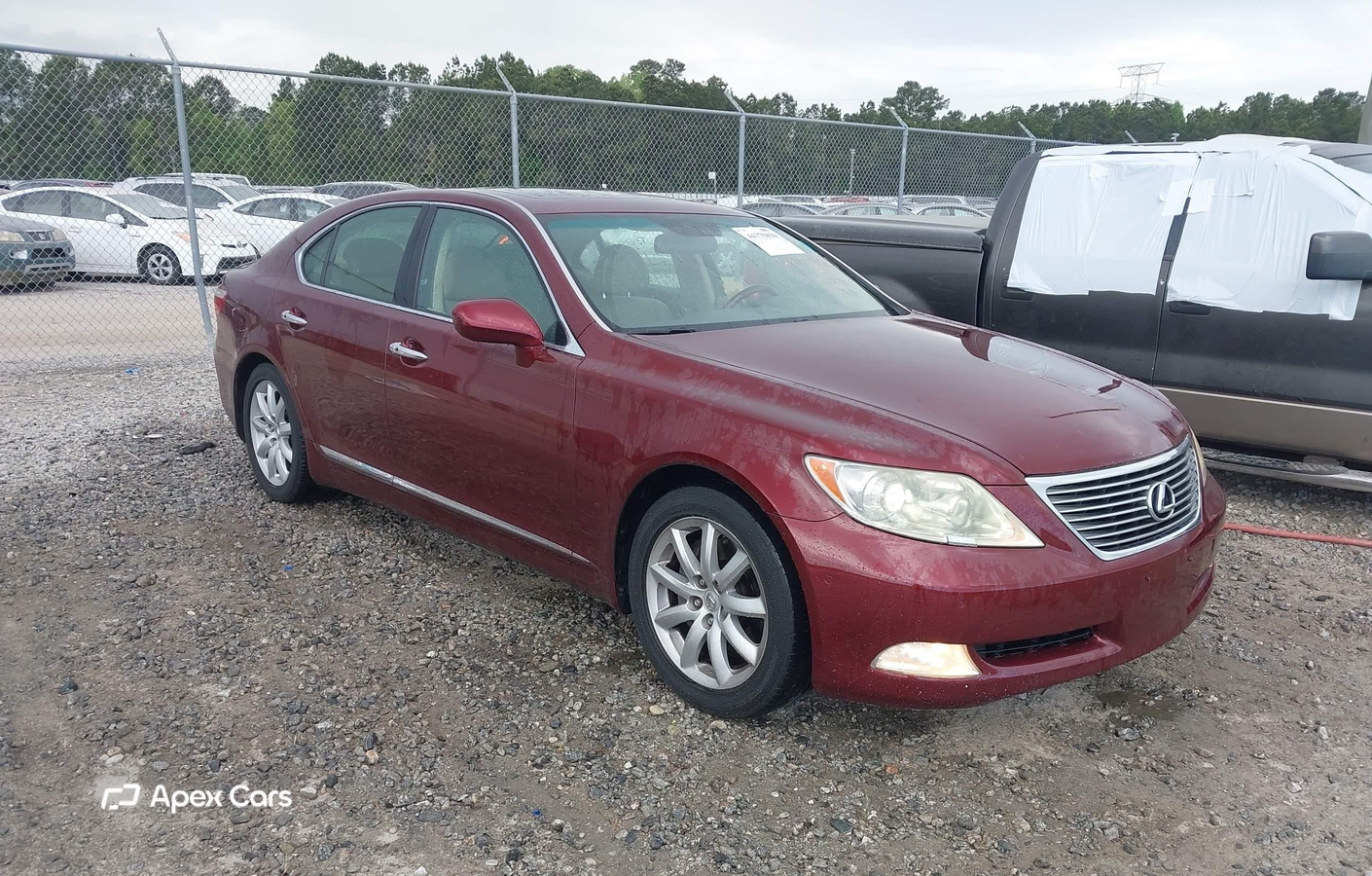 Lexus LS 2008