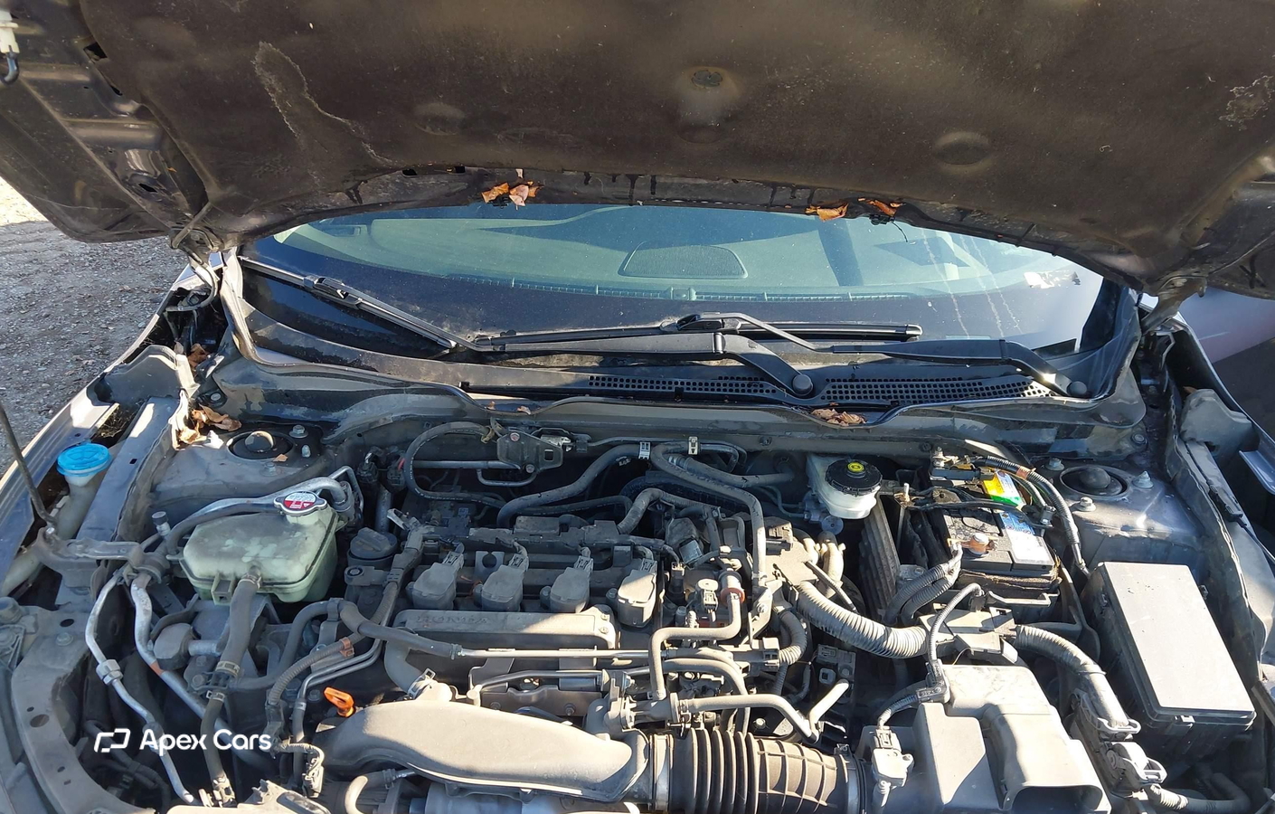 Honda Civic 2017