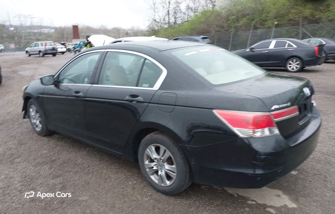 Honda Accord 2011