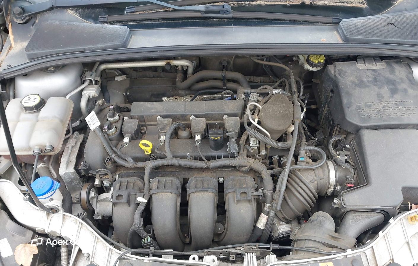 Ford Focus 2016