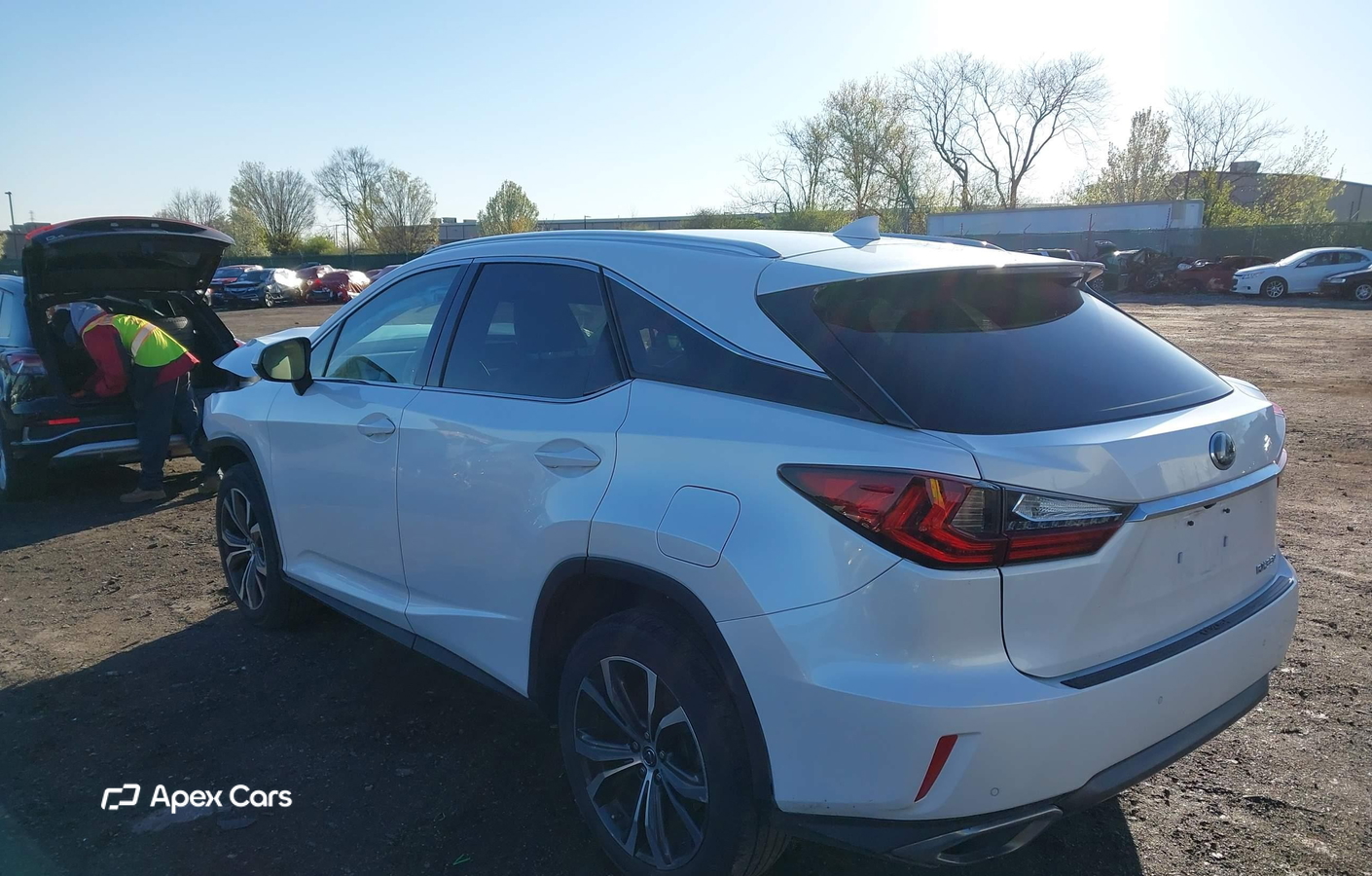 Lexus RX 2019