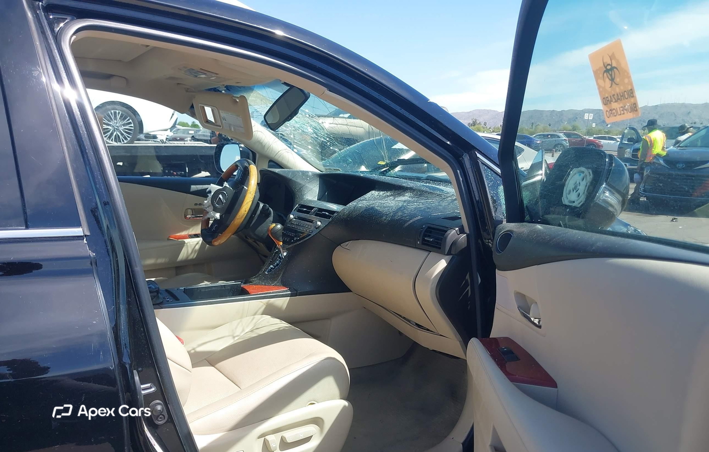 Lexus RX 2010
