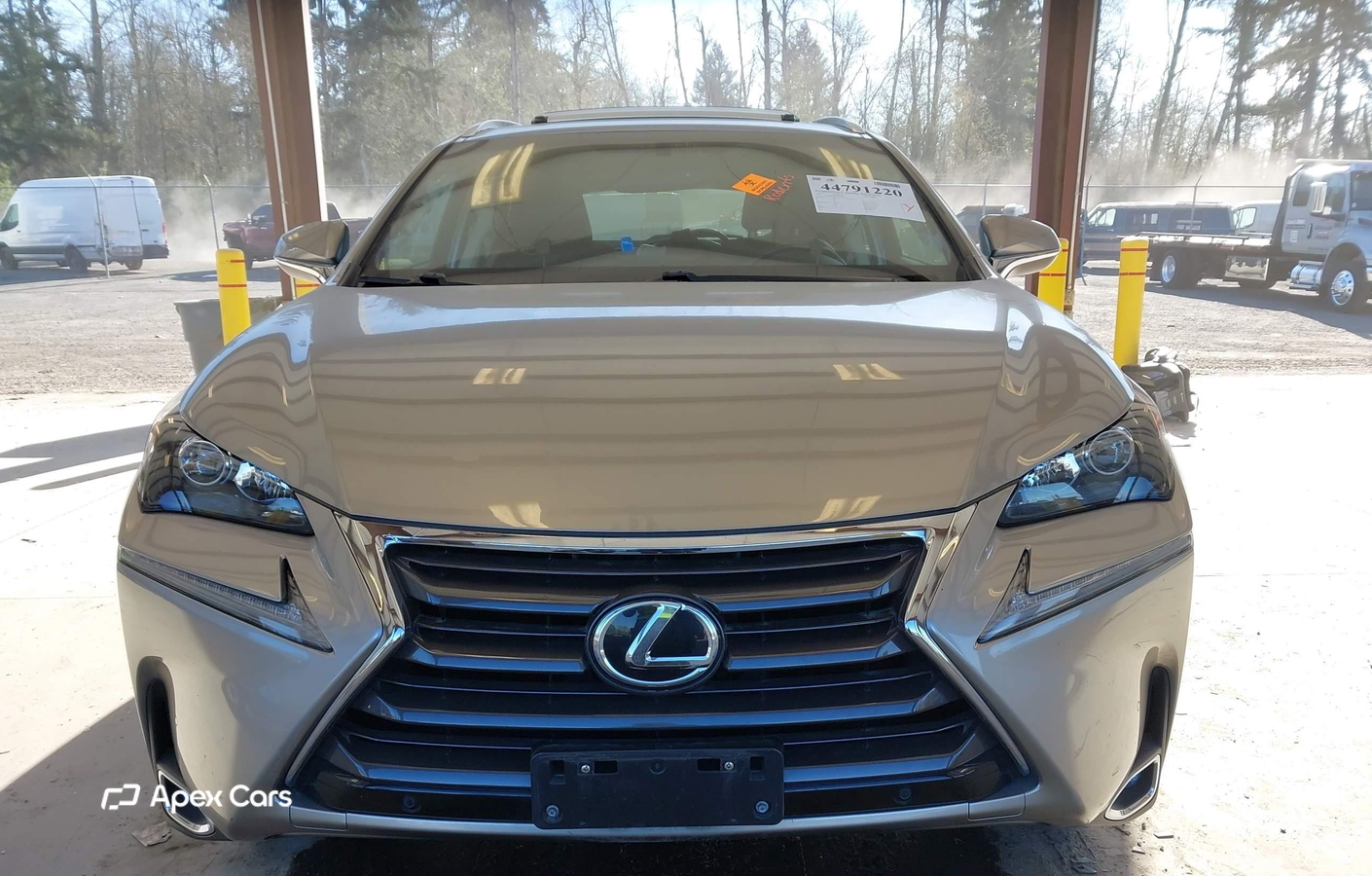 Lexus NX 2017