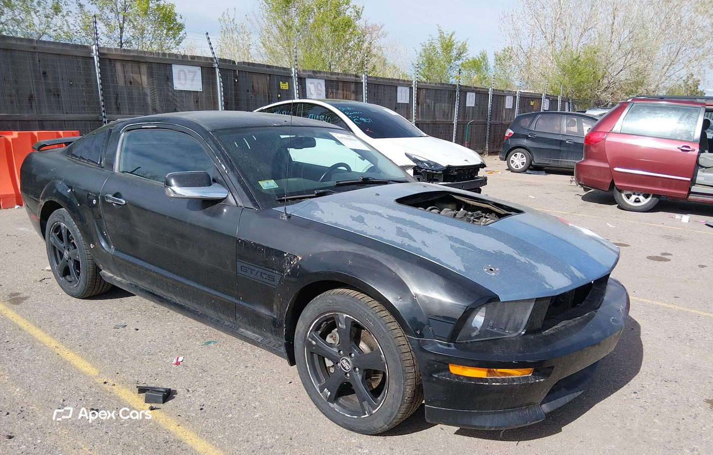 Ford Mustang 2008