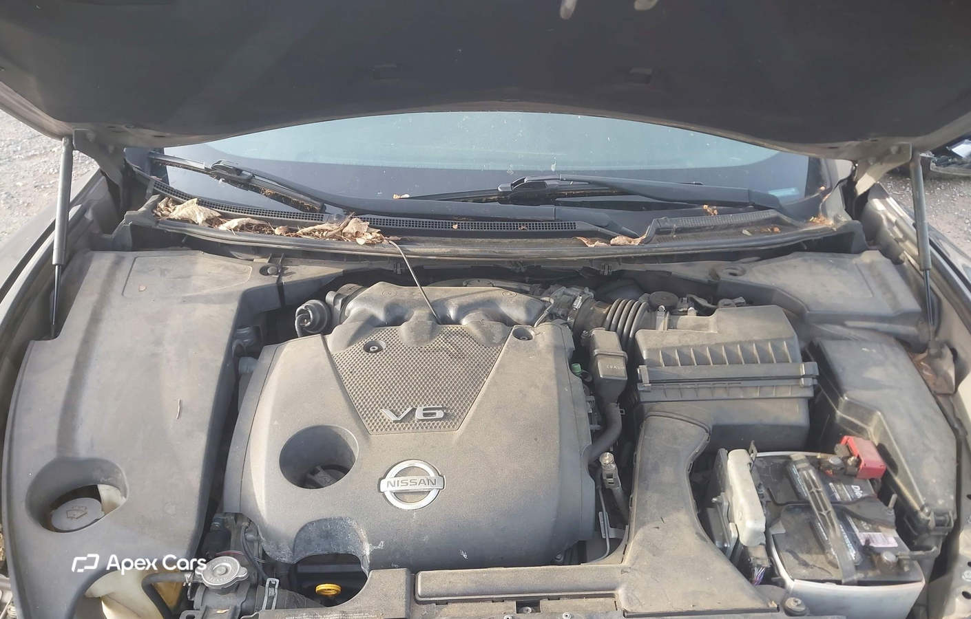 Nissan Maxima 2012