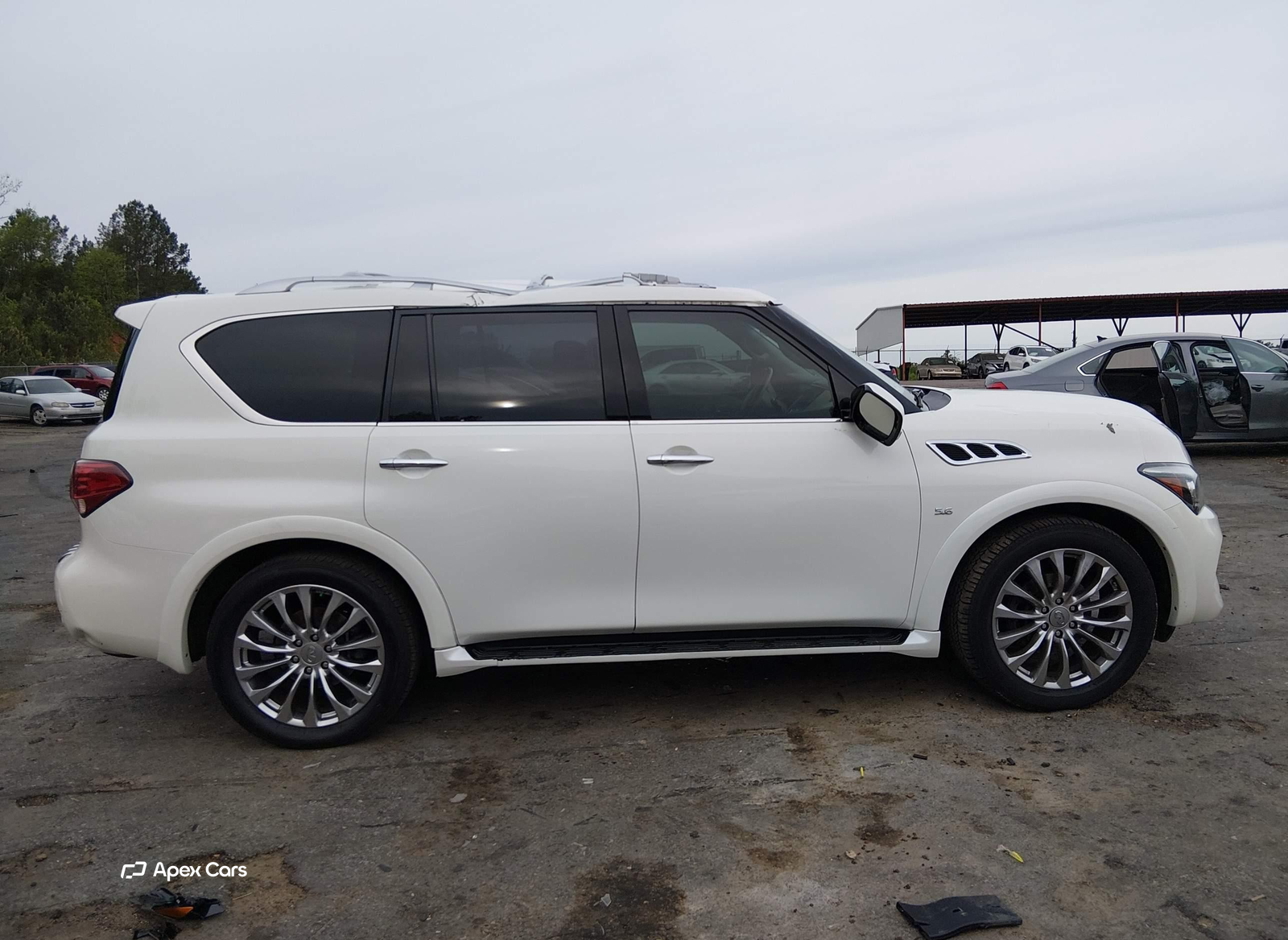 Infiniti QX80 2015