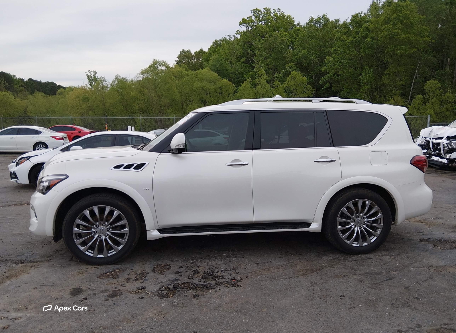 Infiniti QX80 2015