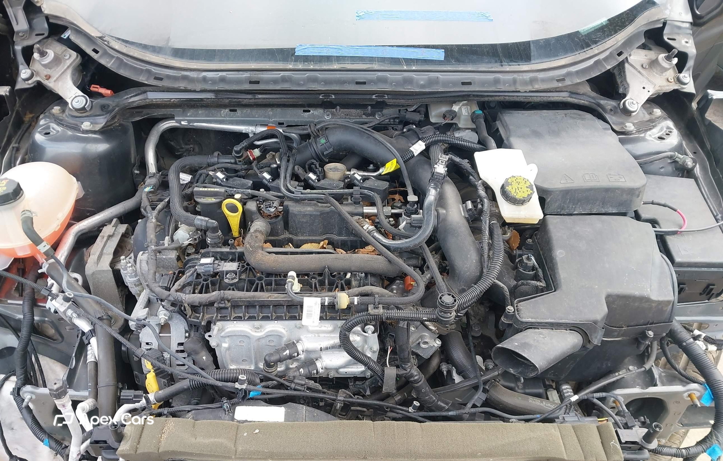 Ford Escape 2019