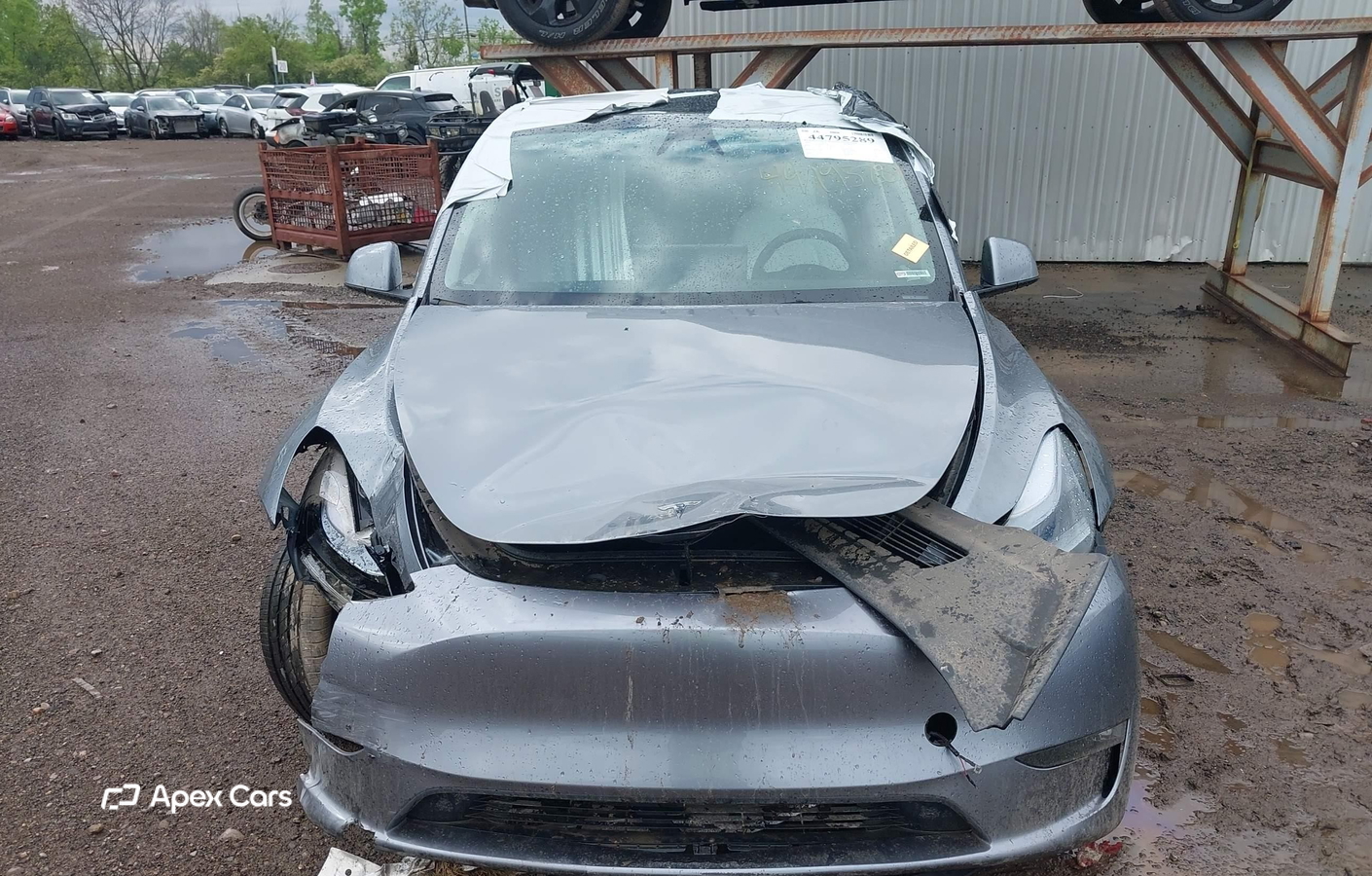 Tesla Model Y 2024