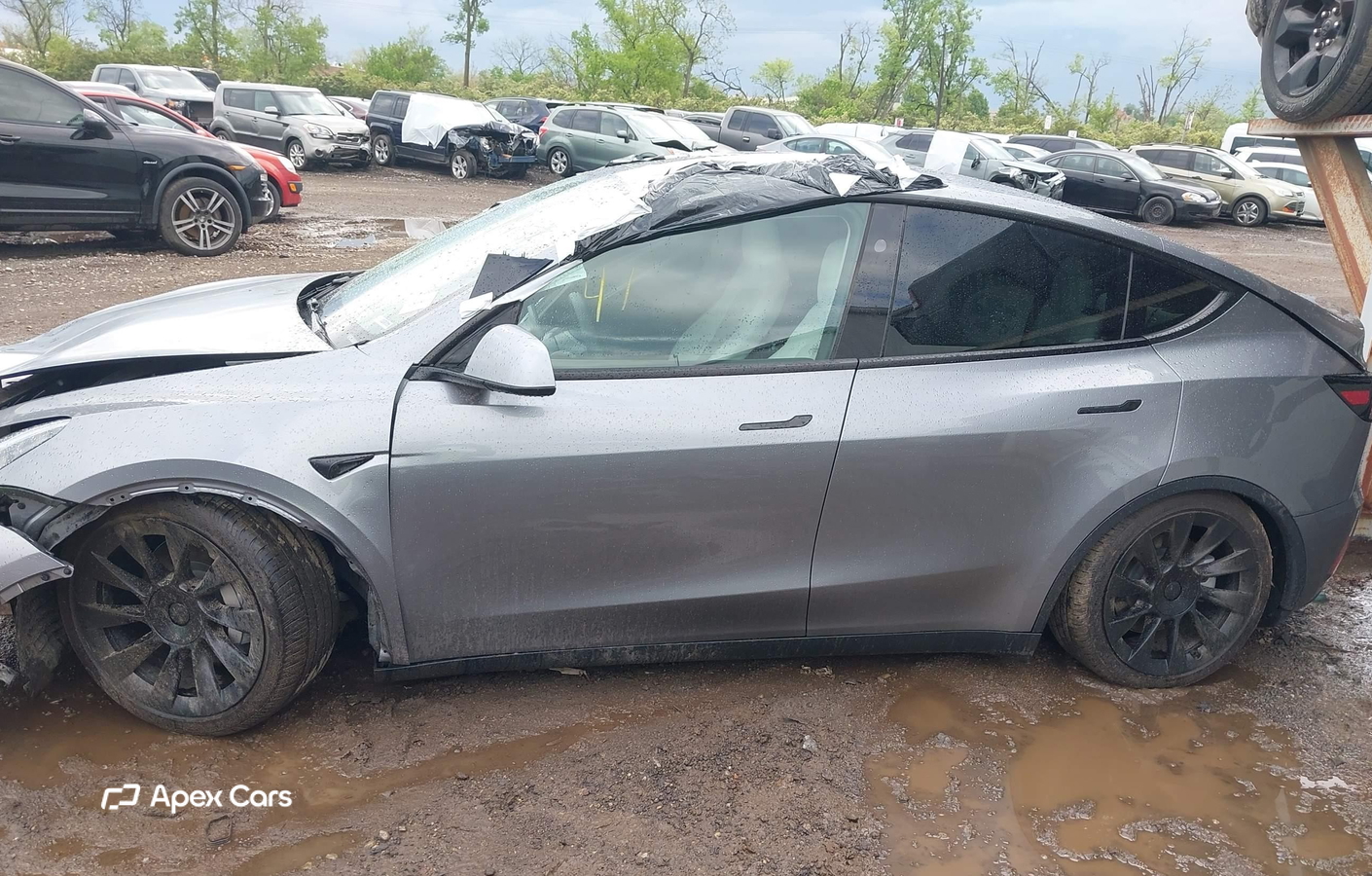 Tesla Model Y 2024