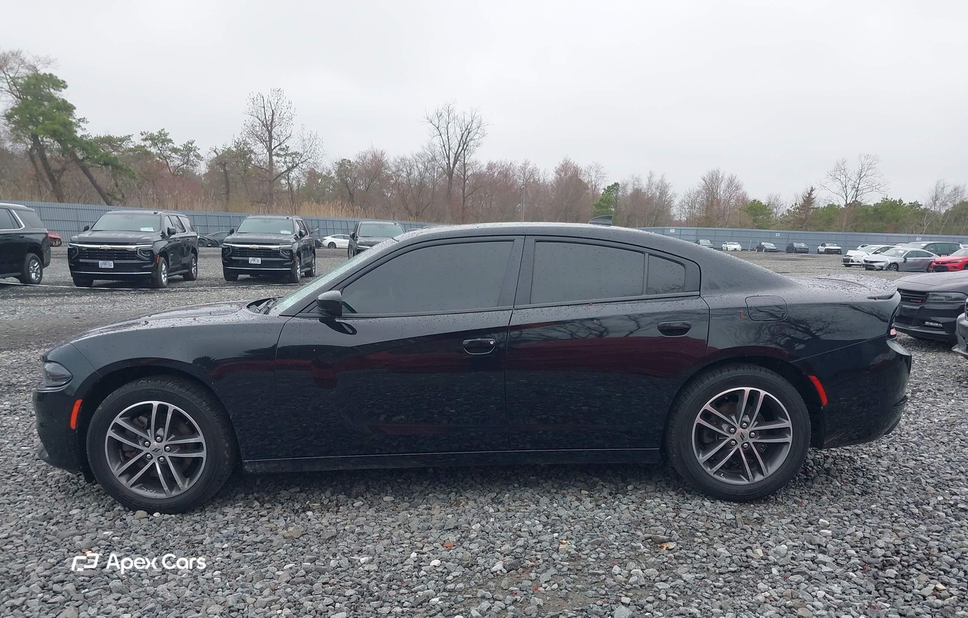 Dodge Charger 2019