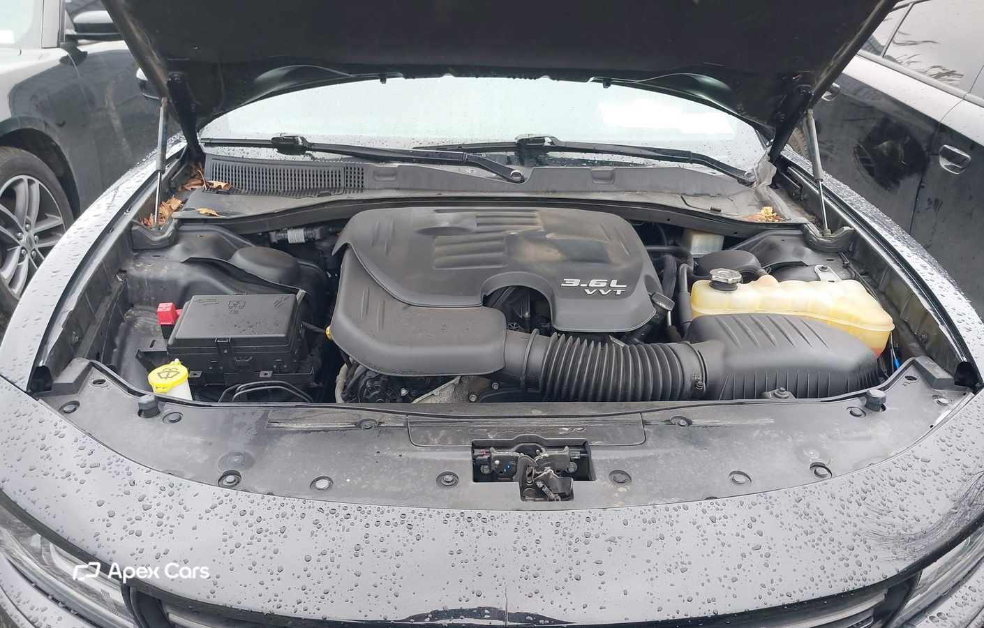 Dodge Charger 2019