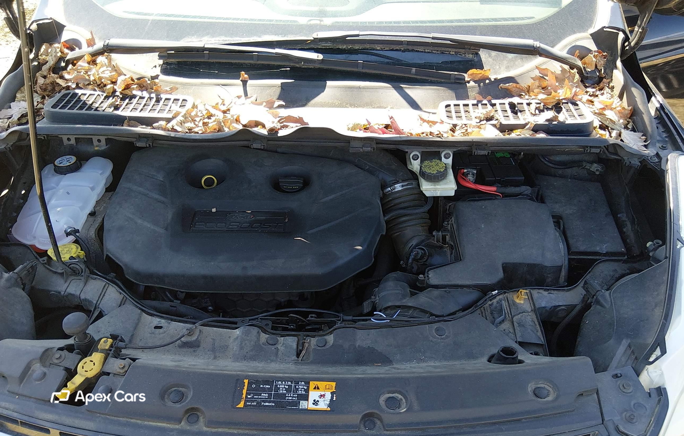 Ford Escape 2014