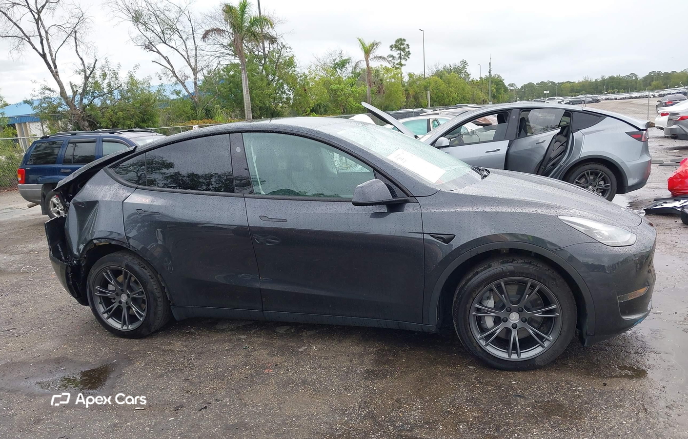 Tesla Model Y 2025