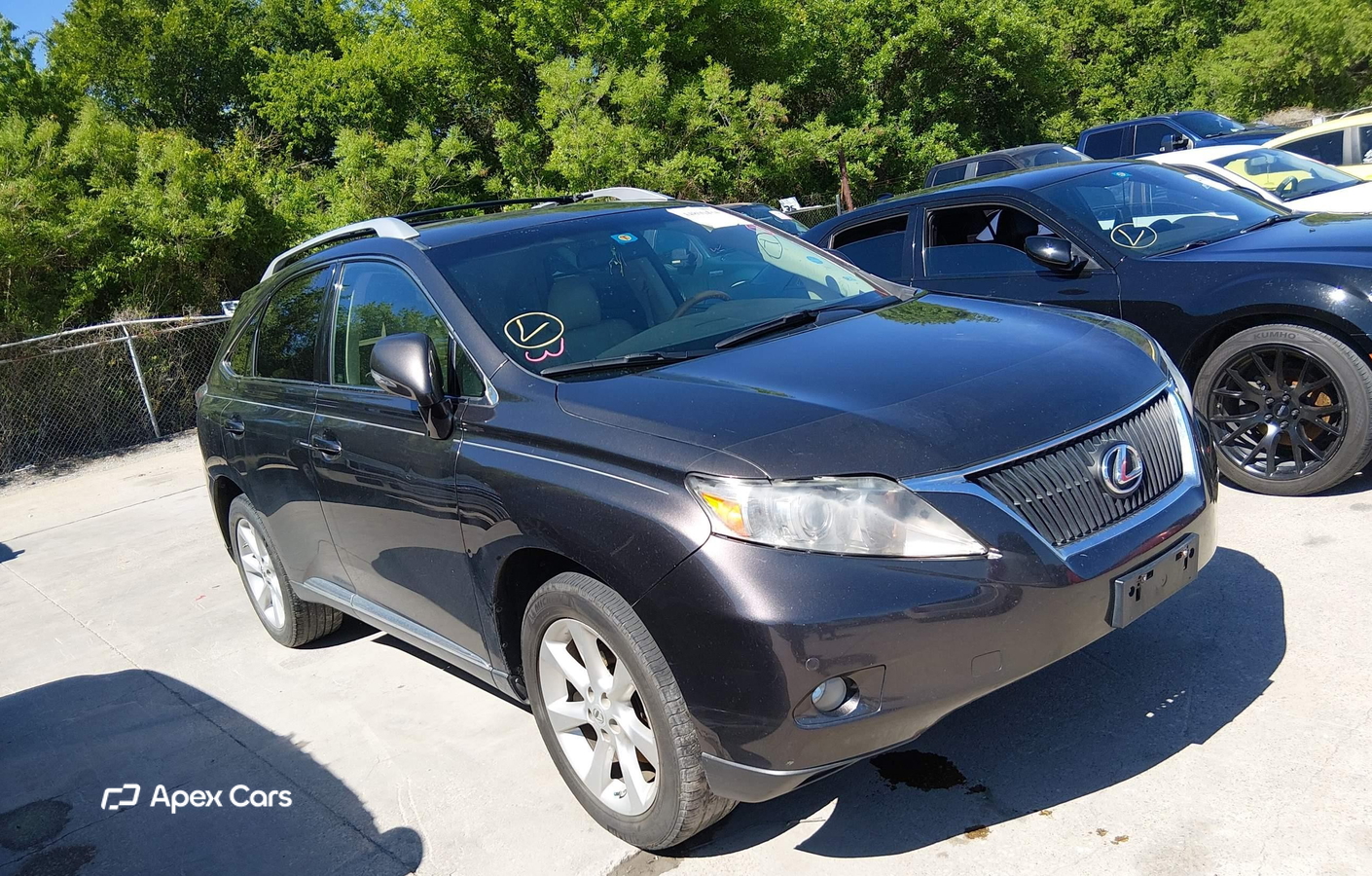 Lexus RX 2010