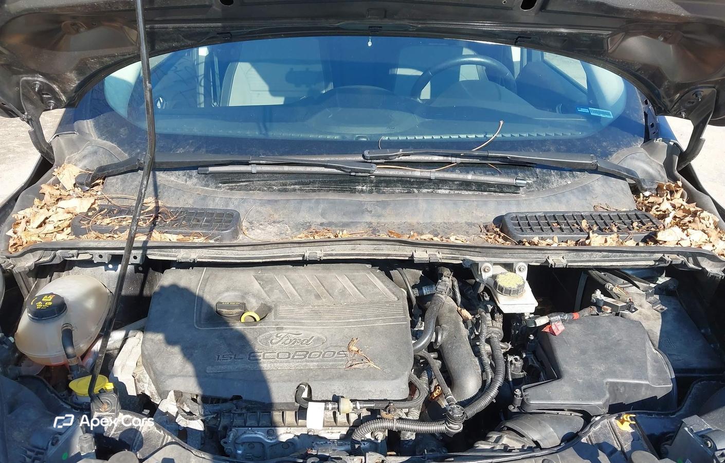 Ford Escape 2018