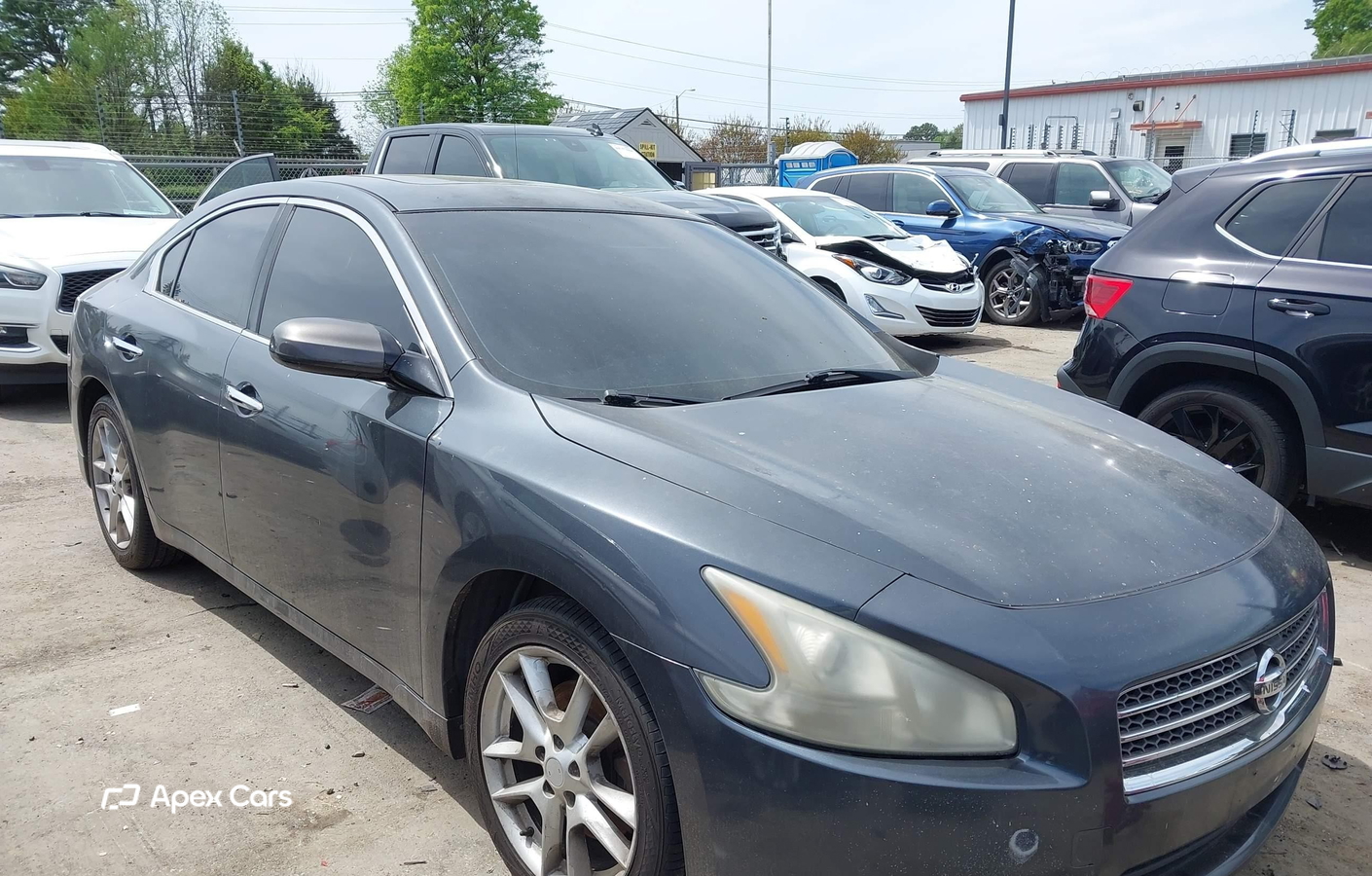 Nissan Maxima 2011