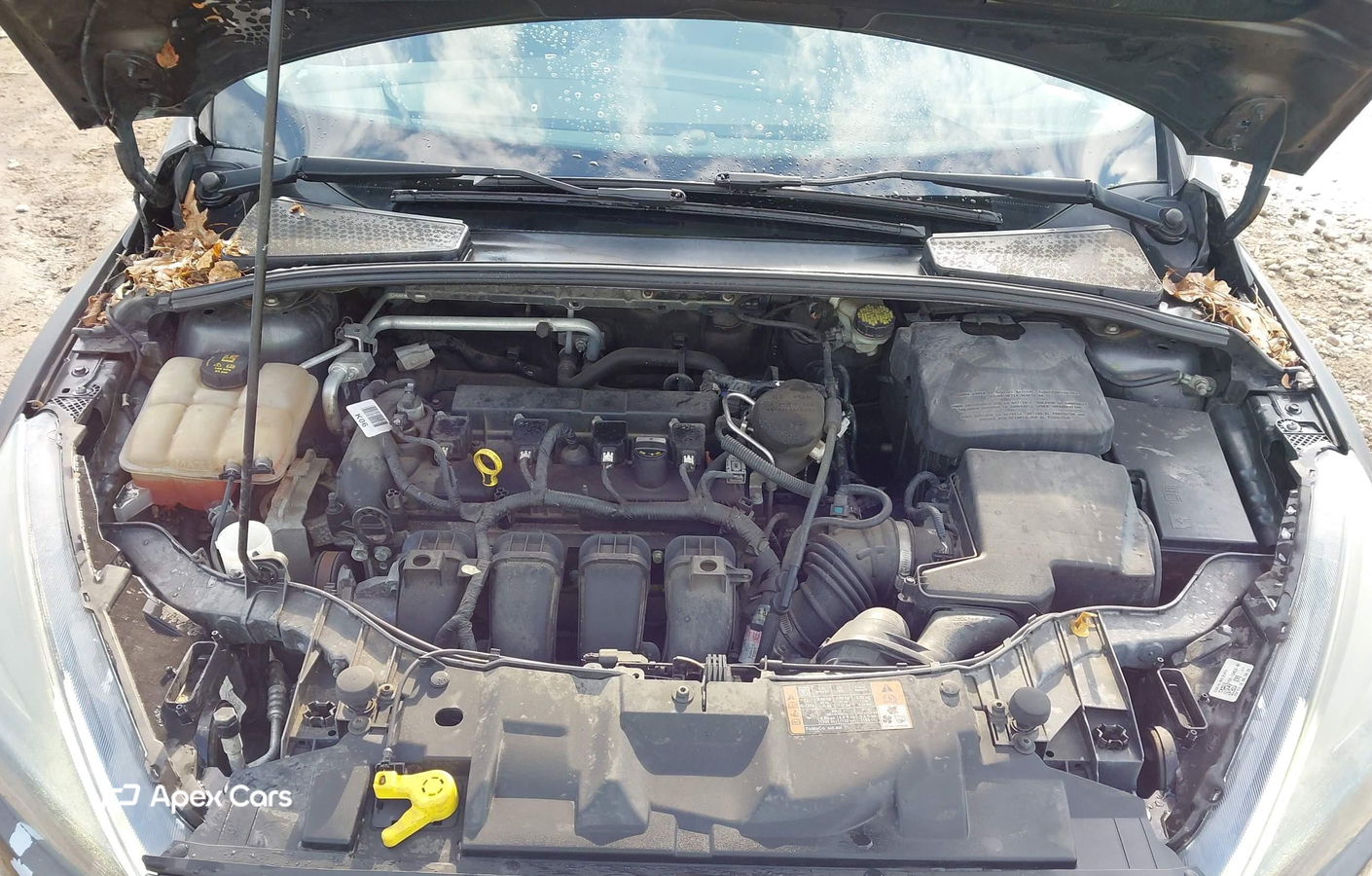 Ford Focus 2015