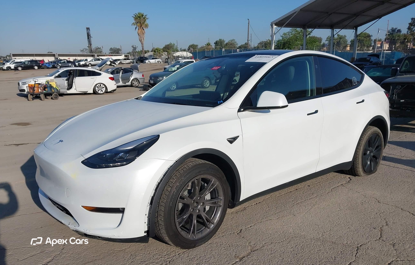Tesla Model Y 2024